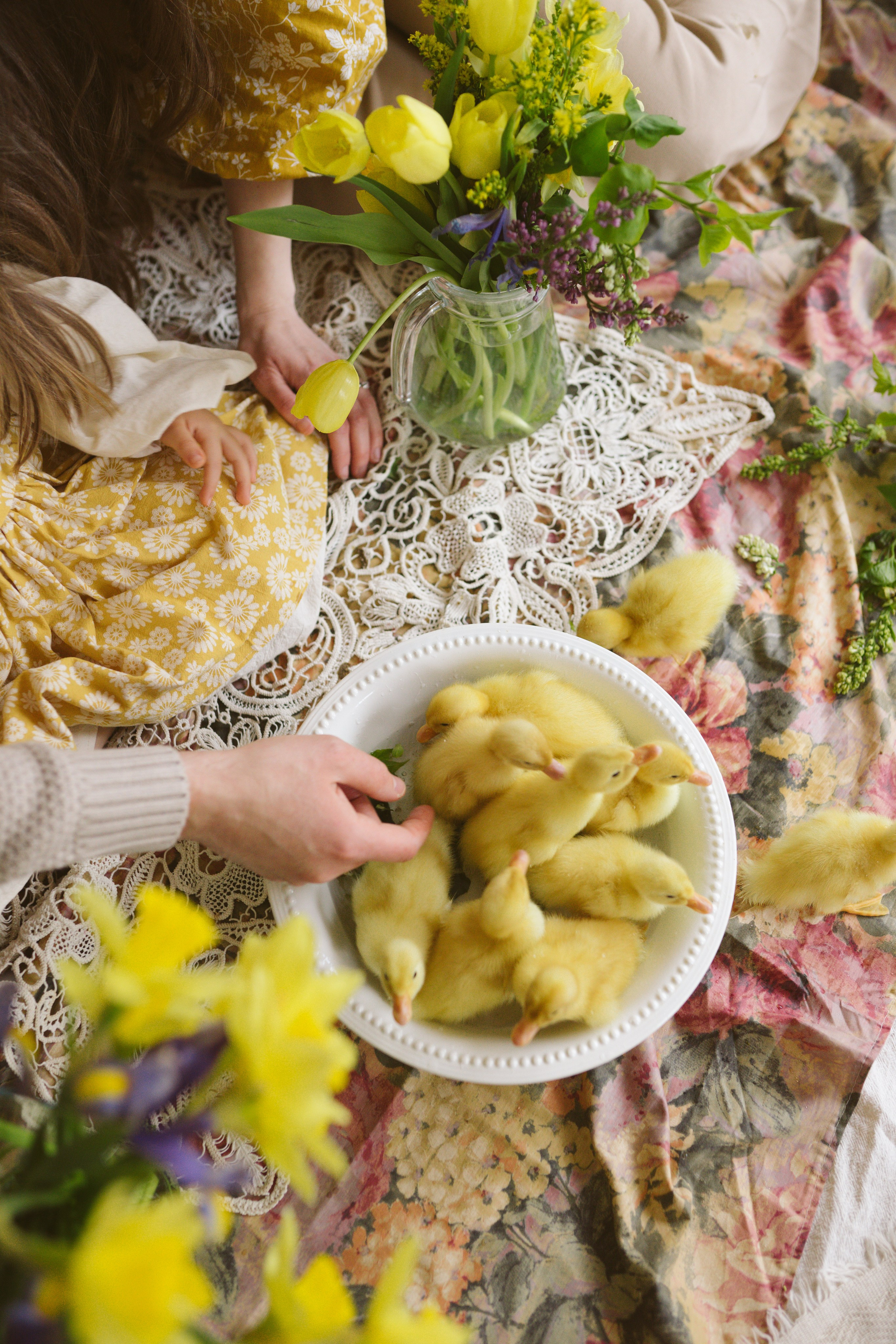 Ședințe Foto de Paște Brașov: Gălbenuș | Mădălina Beda. Madalina Beda- Artist vizual, fotograf, doula la nastere, consultant babywearing Brasov si in toata tara