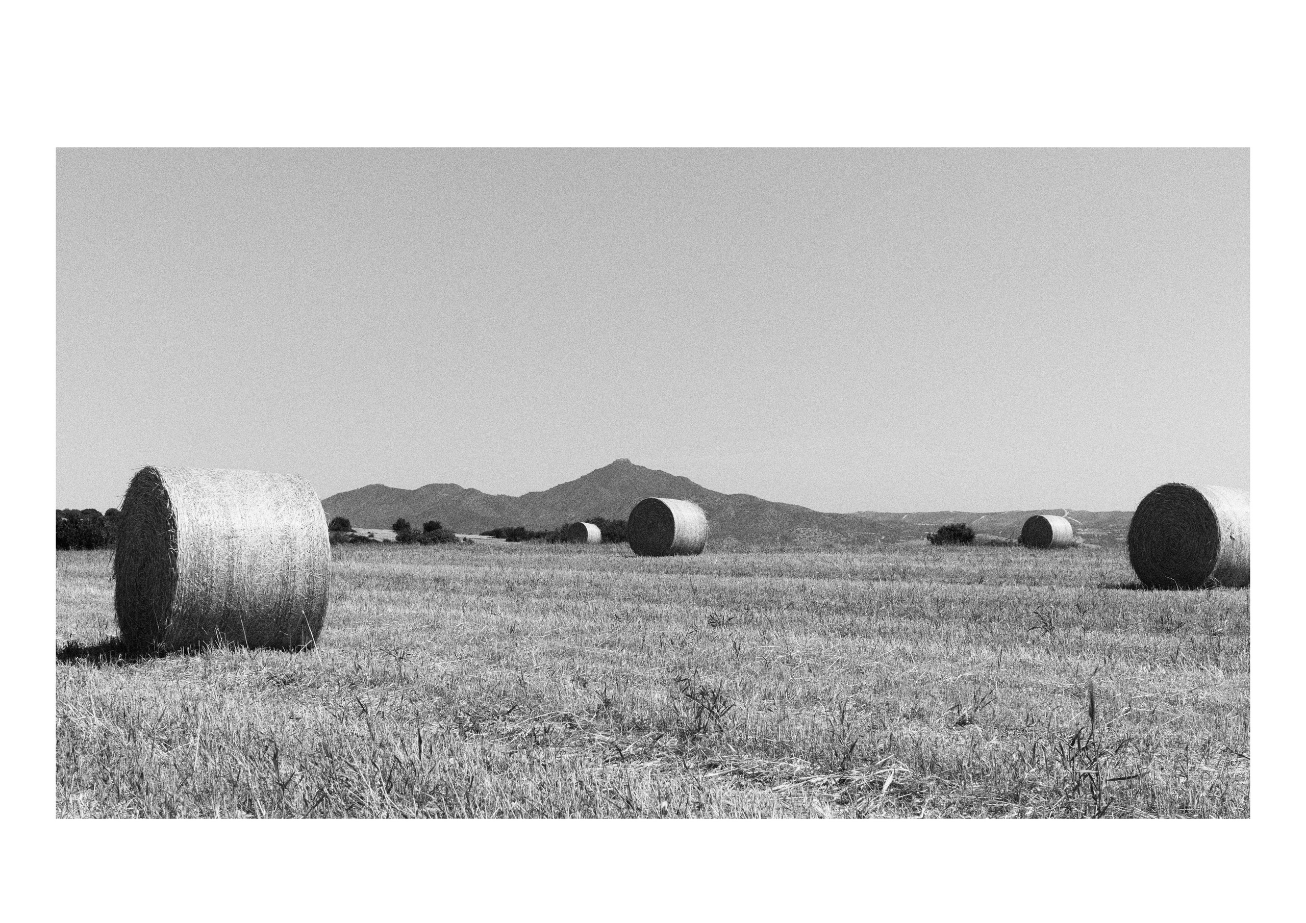 B&W. Cinema that you’ll never see