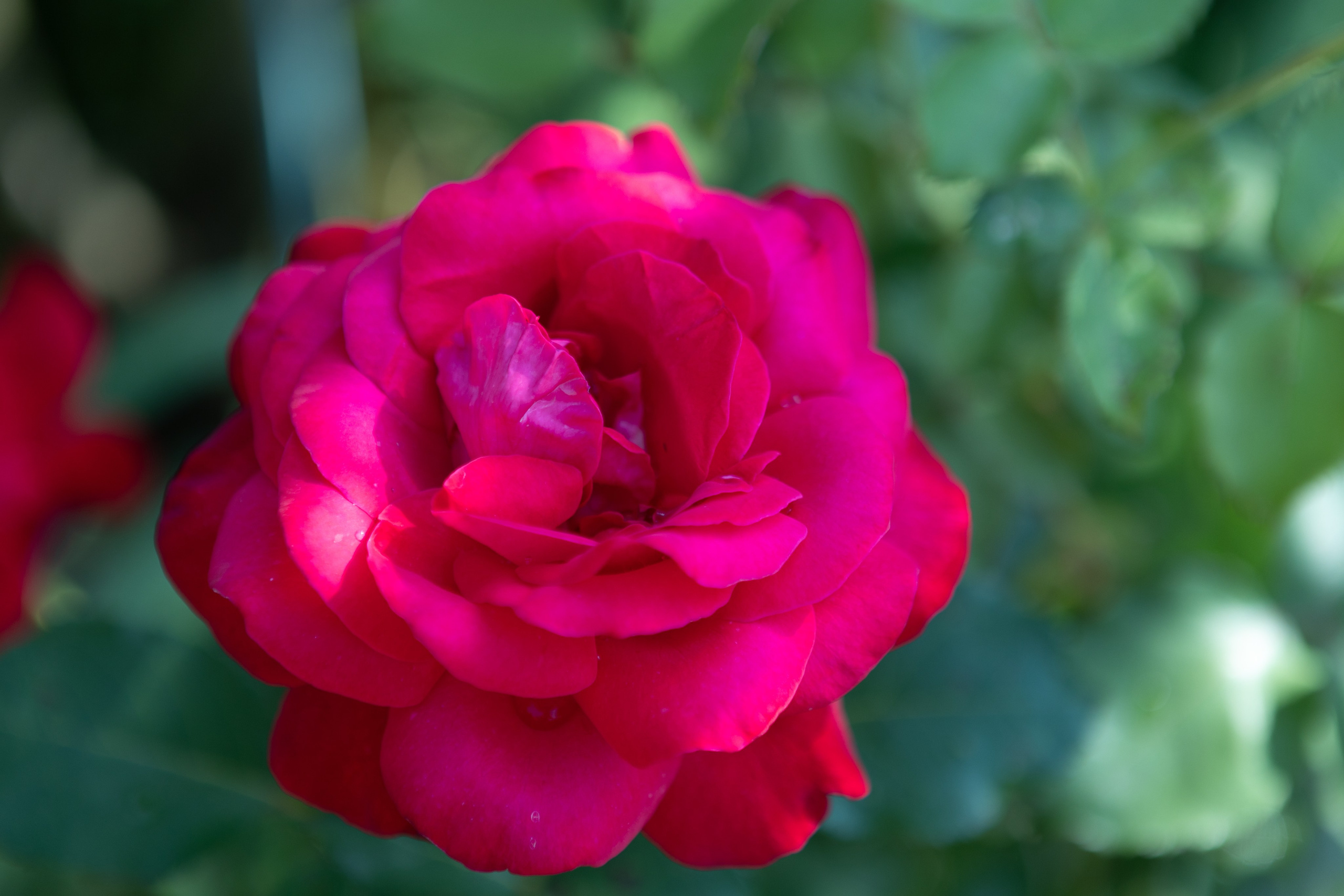 <img src="bild1.jpg" alt="Lindau Insel Fotografie kaufen"><img src="bild2.jpg" alt="Lindau Bodensee Bilder"><img src="bild3.jpg" alt="Lindau Altstadt Fotos kaufen"><img src="bild4.jpg" alt="Lindau Hafen Fotodruck"><img src="bild5.jpg" alt="Lindau Uferpromenade Wandbilder"><img src="bild6.jpg" alt="Lindau Kunstfotografie kaufen"><img src="bild7.jpg" alt="Lindau Leuchtturm und Löwe Bilder"><img src="bild8.jpg" alt="Lindau Innenstadt schöne Bilder"><img src="bild9.jpg" alt="Lindau Landschaftsfotografie kaufen"><img src="bild10.jpg" alt="Lindau Bodensee Fotos als Deko">