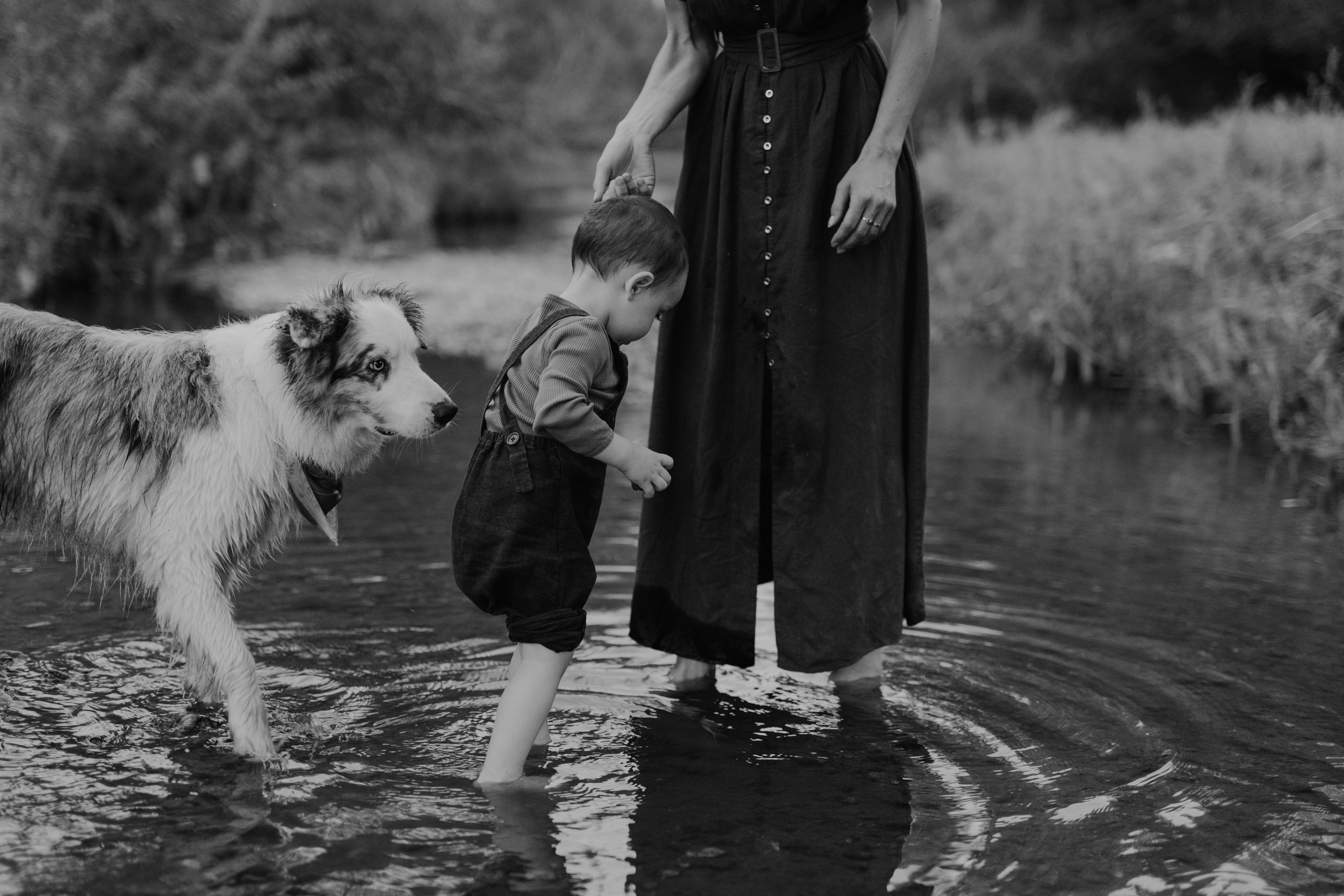 Cristina, George & Ian — Family. Main