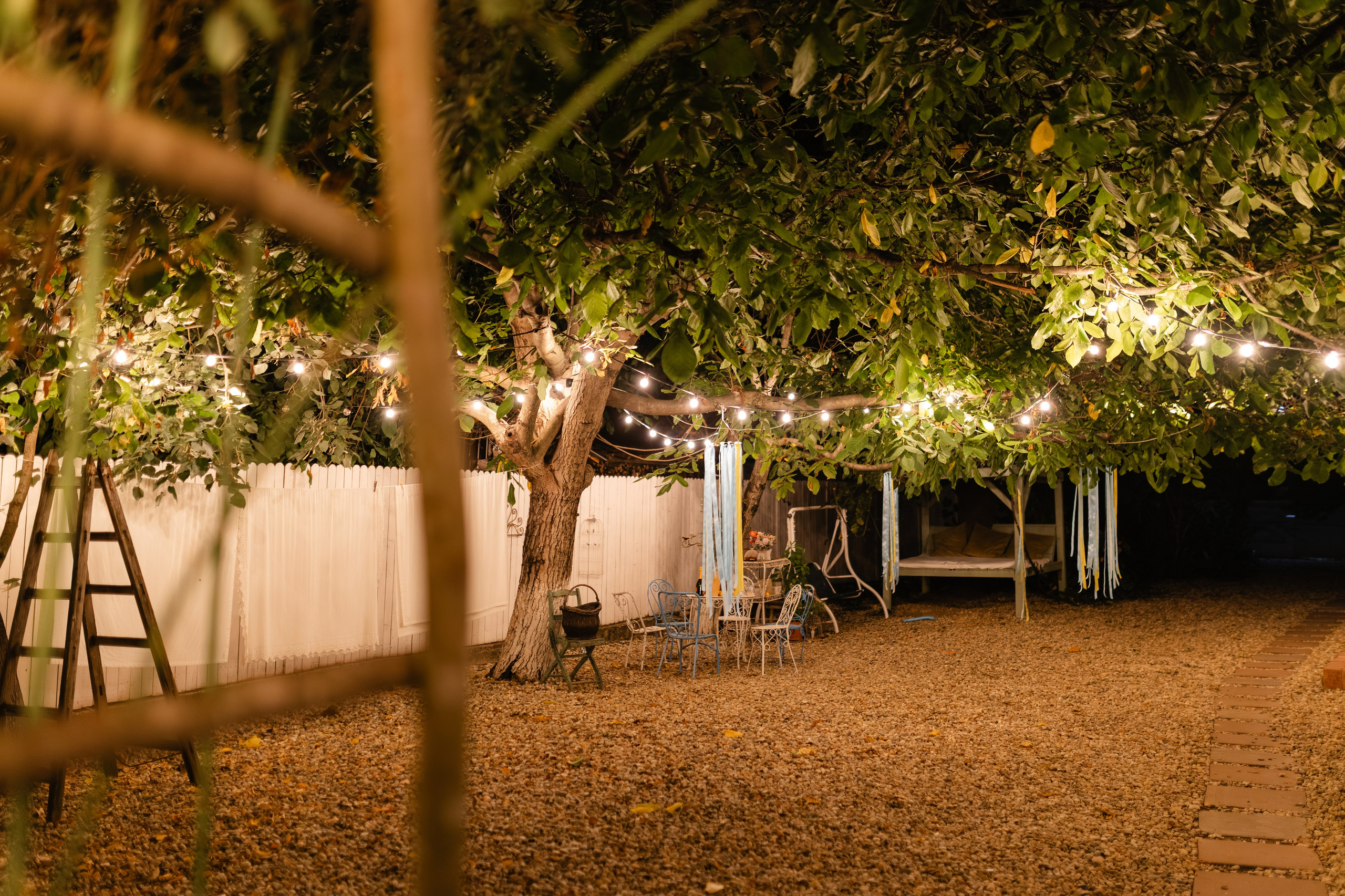 Natalia & Costin. Main