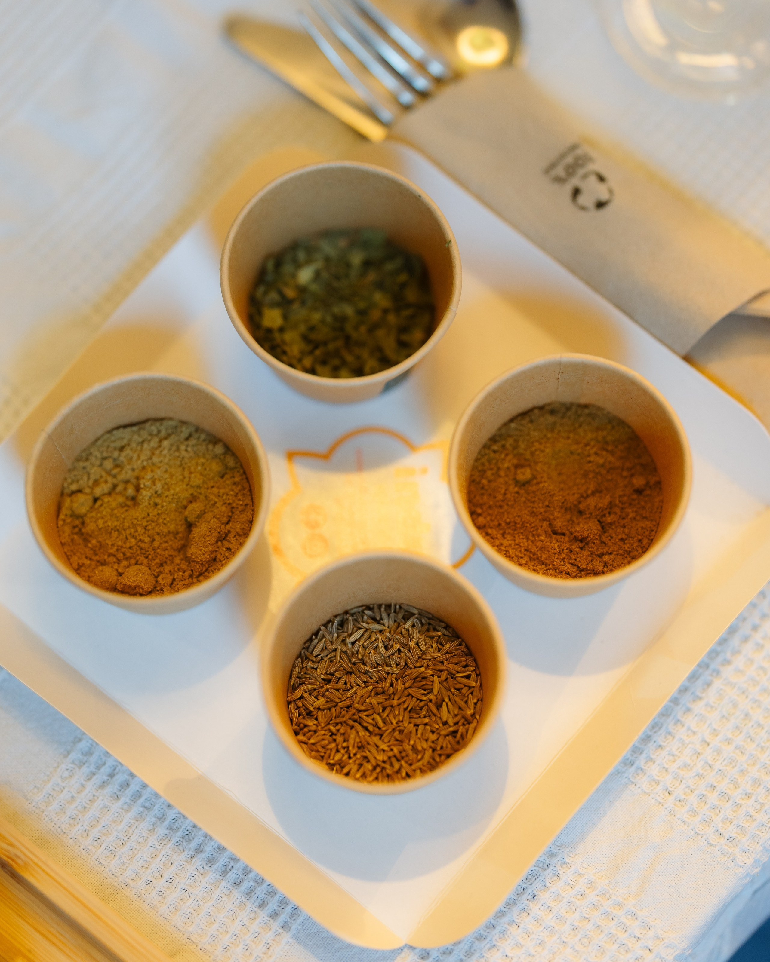 Indus at CUIB. Marius Ciocan