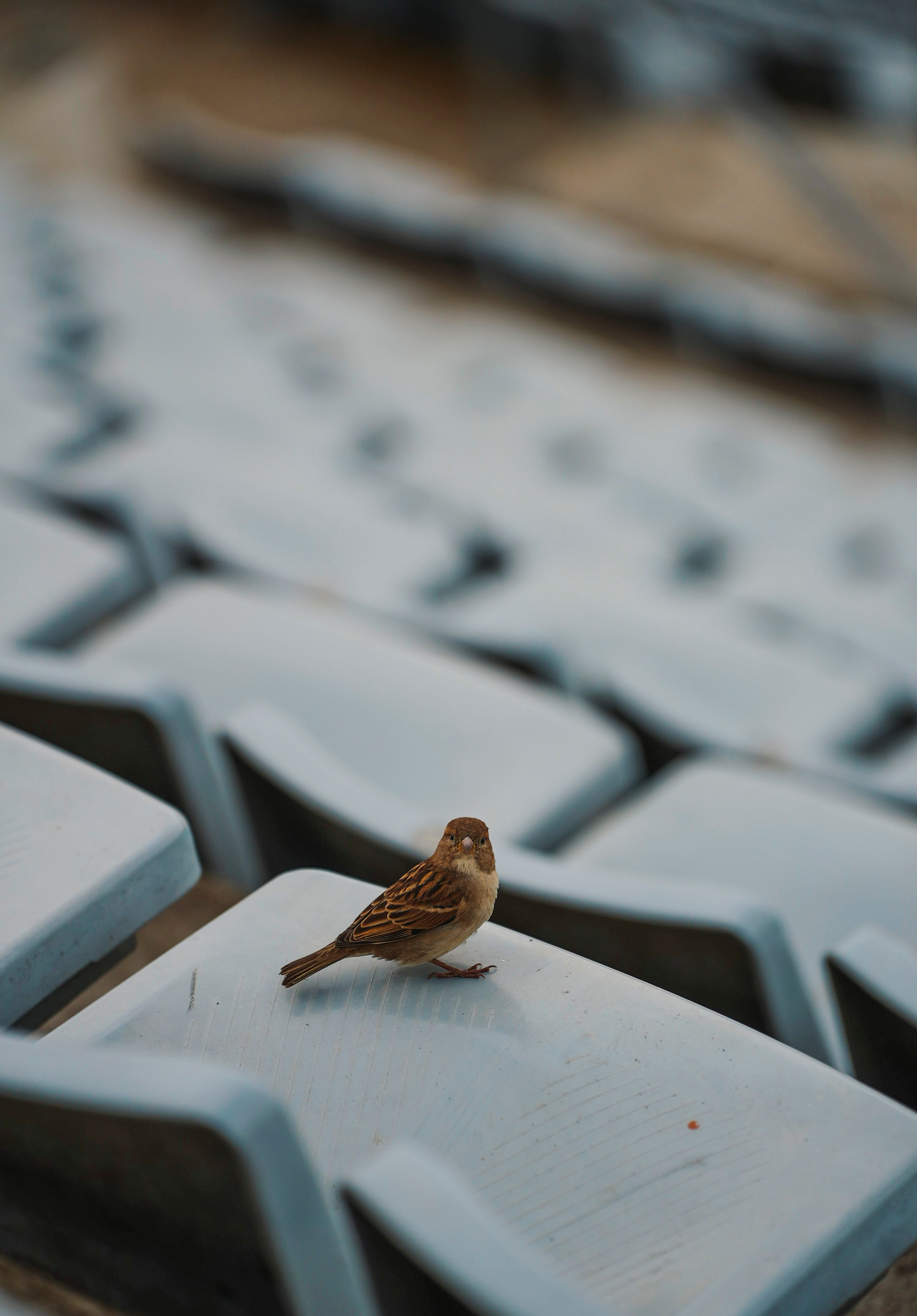 ЕВРОТУР. Стрит-фотография, полная абсурда, идиотизма и красоты