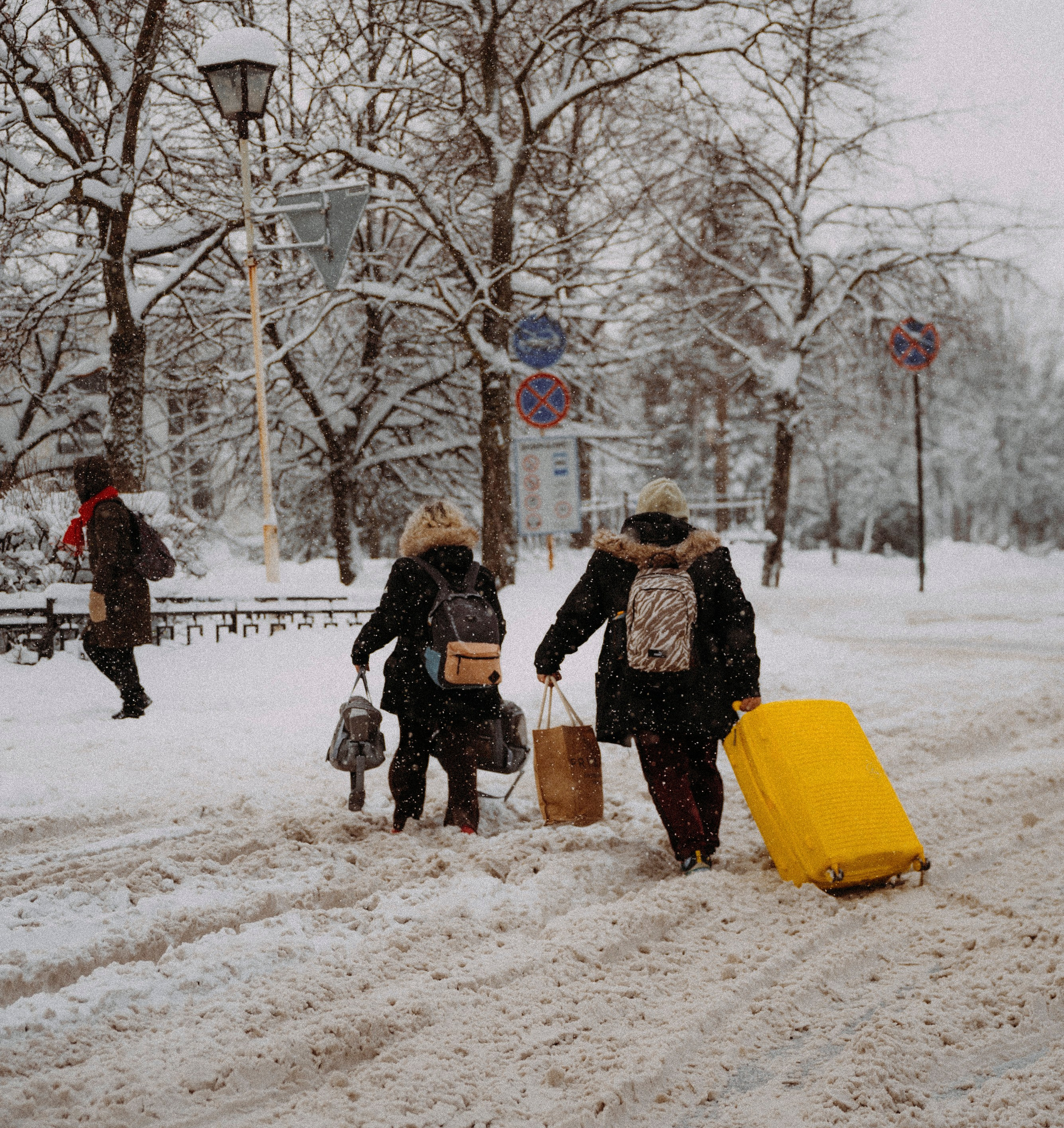 2025. Стрит-фотография, полная абсурда, идиотизма и красоты
