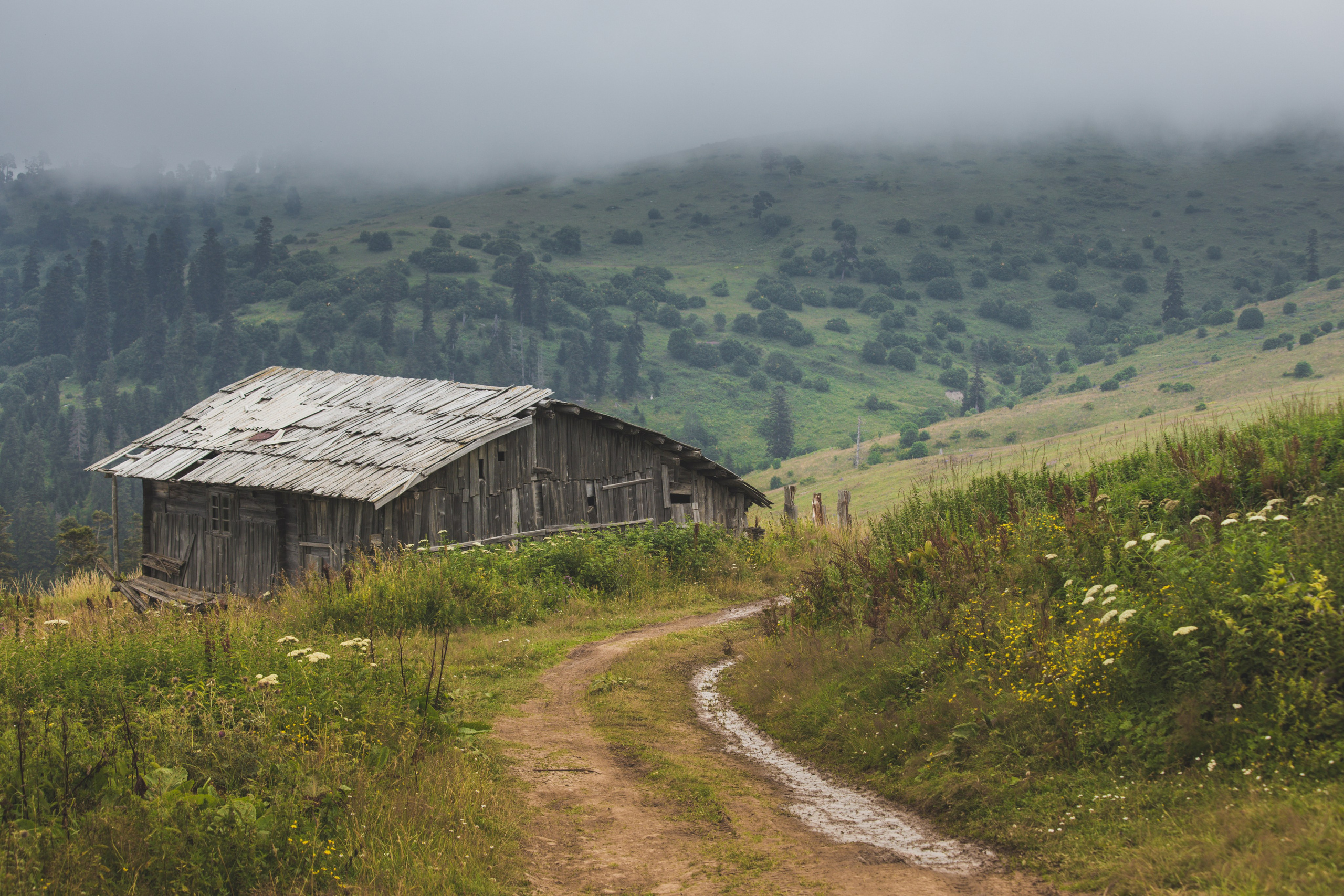 Urban. PHOTOSTORYNIKA