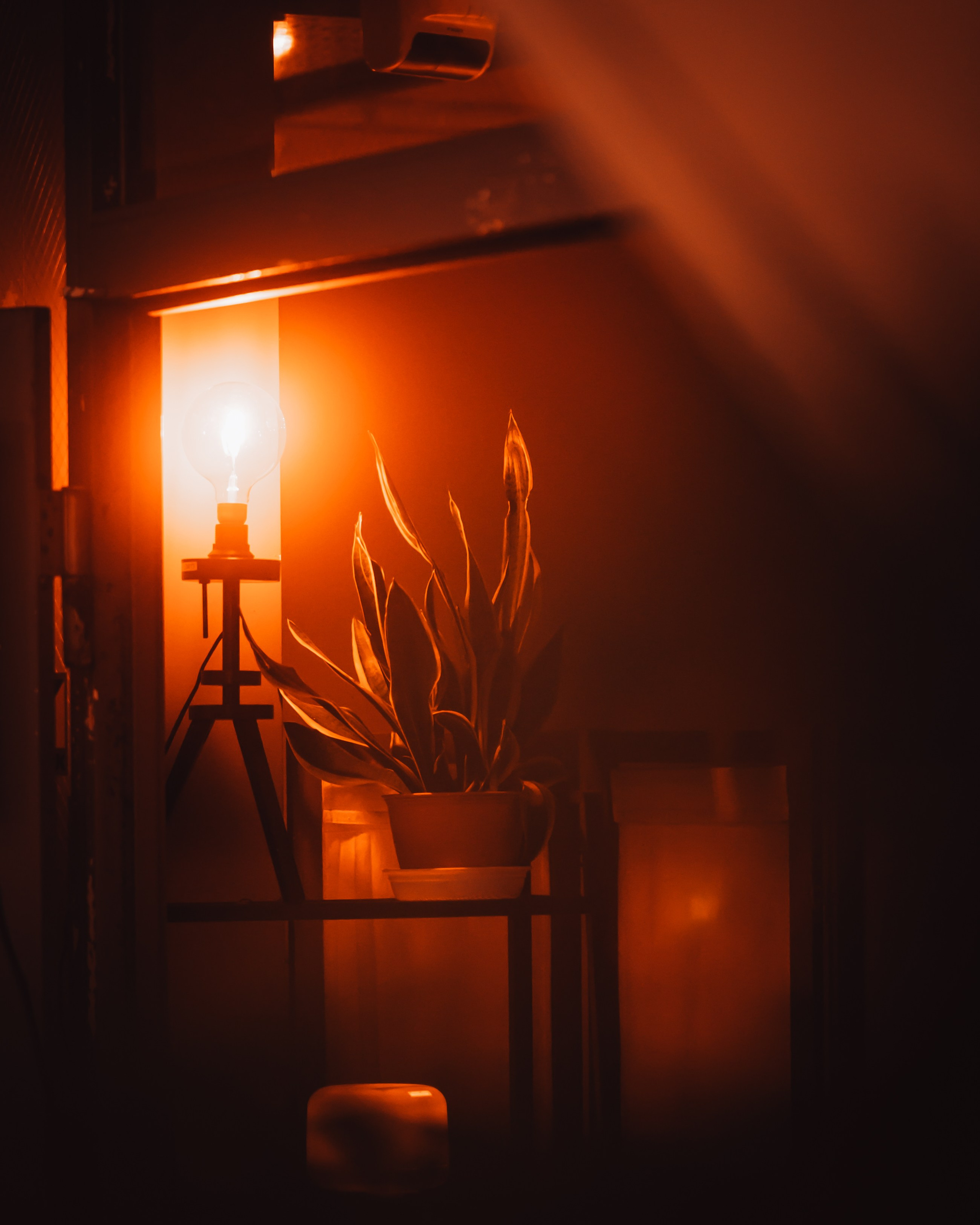 Signature style. Senya JP