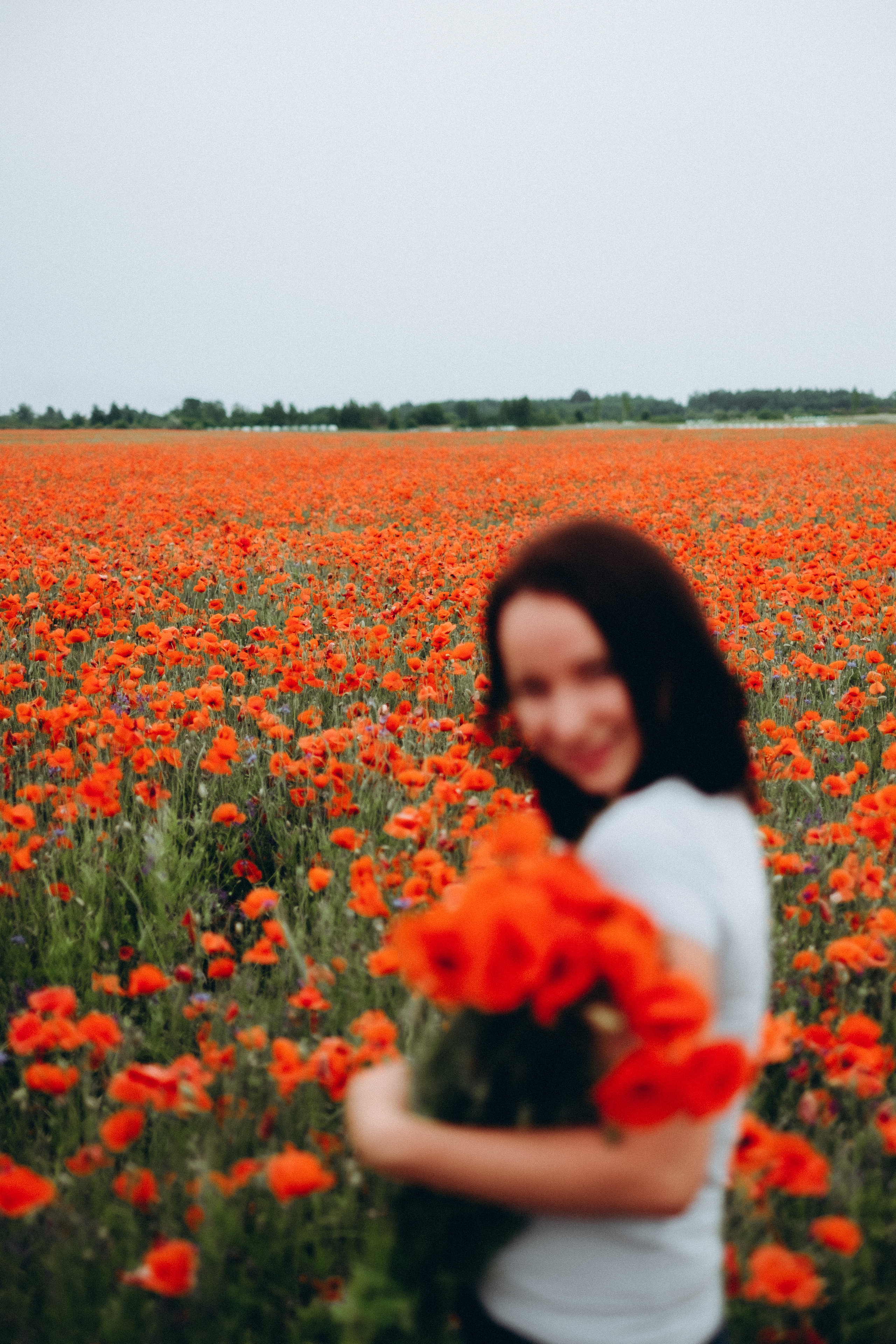 Fotosesija magoņu laukā. Kāzu × Ģimenes notikumu fotografs Edgars Kalniņš