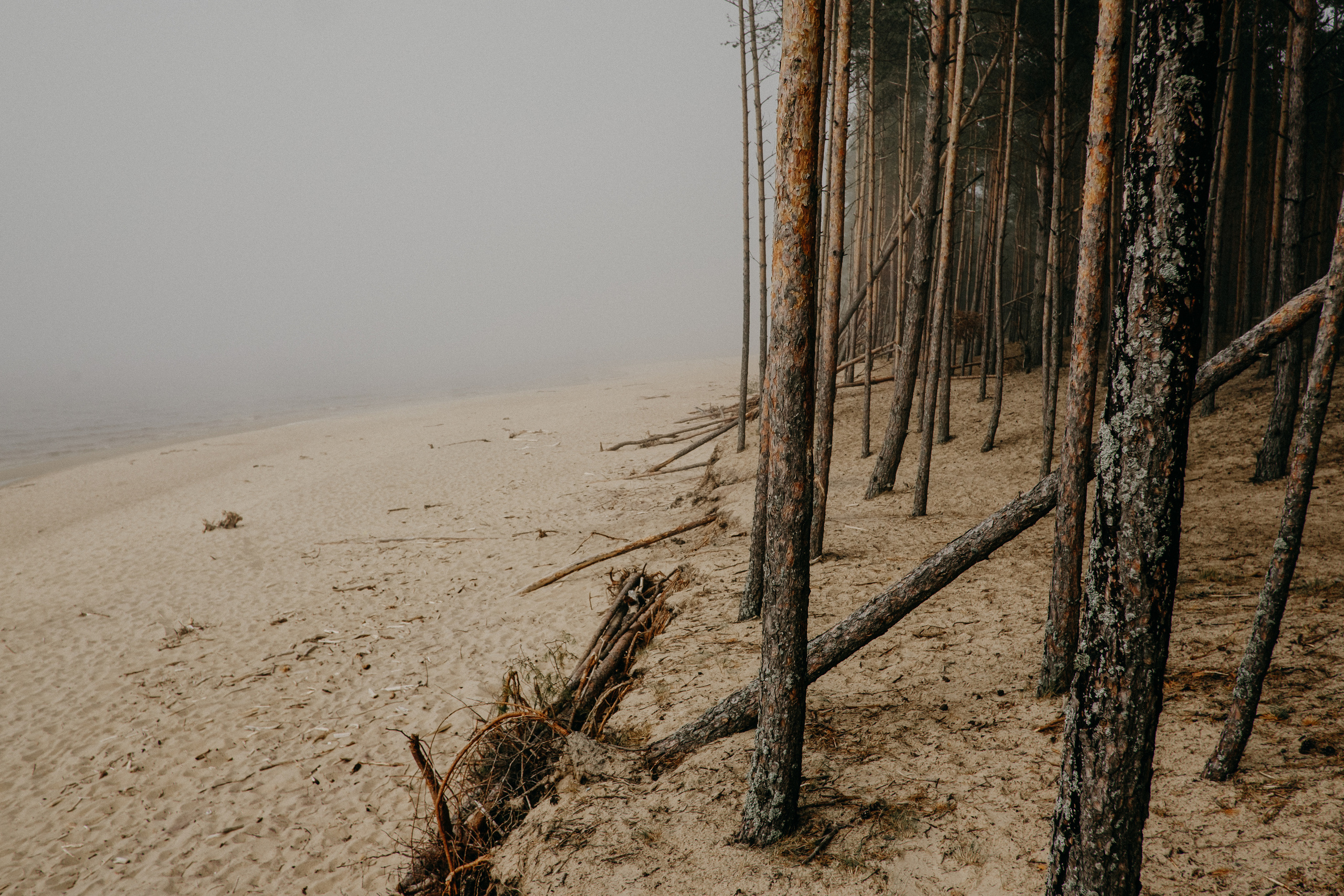 Aiga + Juris / 2021 Kāzu fotosesija pie jūras Carnikavā. Kāzu × Ģimenes notikumu fotografs Edgars Kalniņš