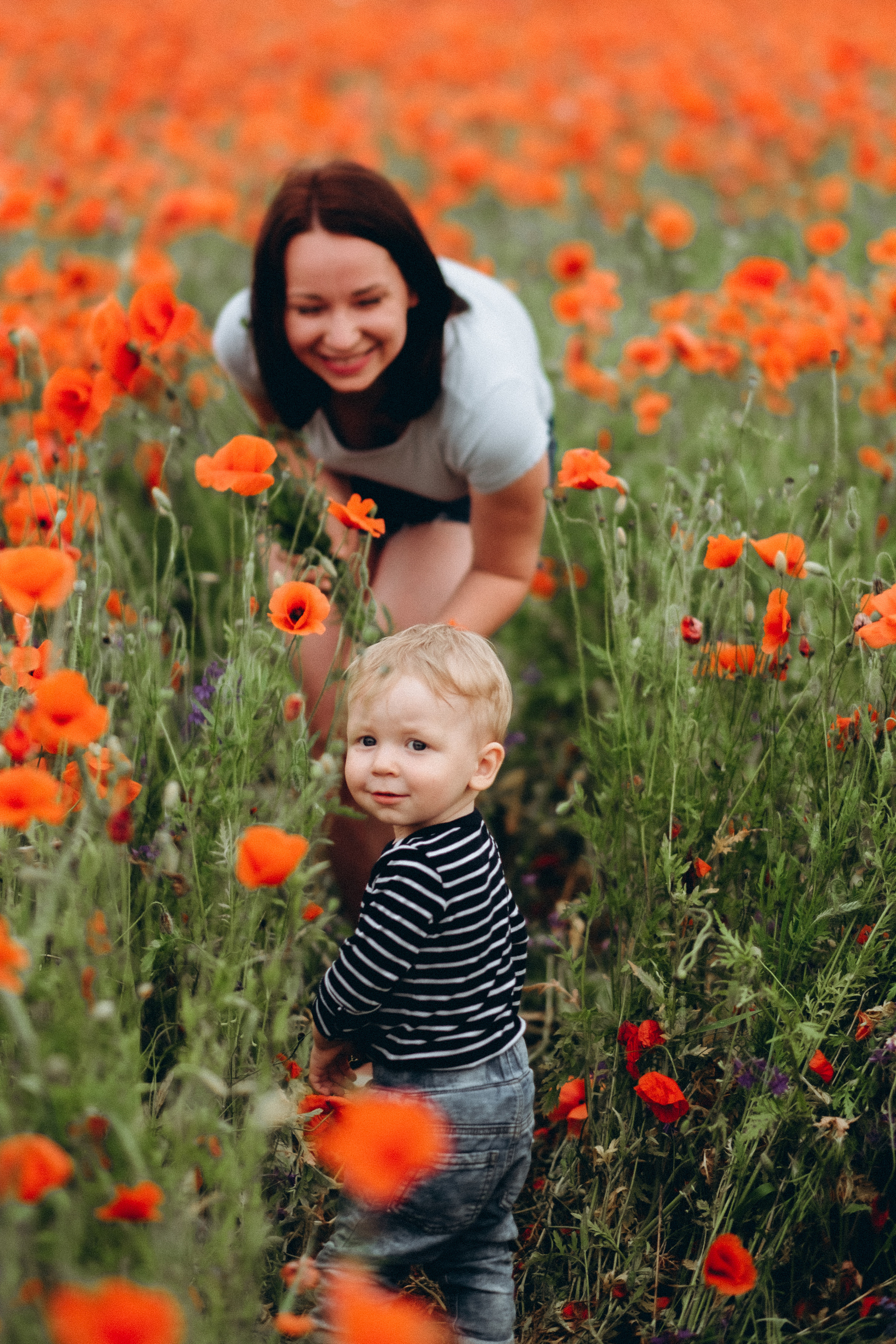 Fotosesija magoņu laukā. Kāzu × Ģimenes notikumu fotografs Edgars Kalniņš