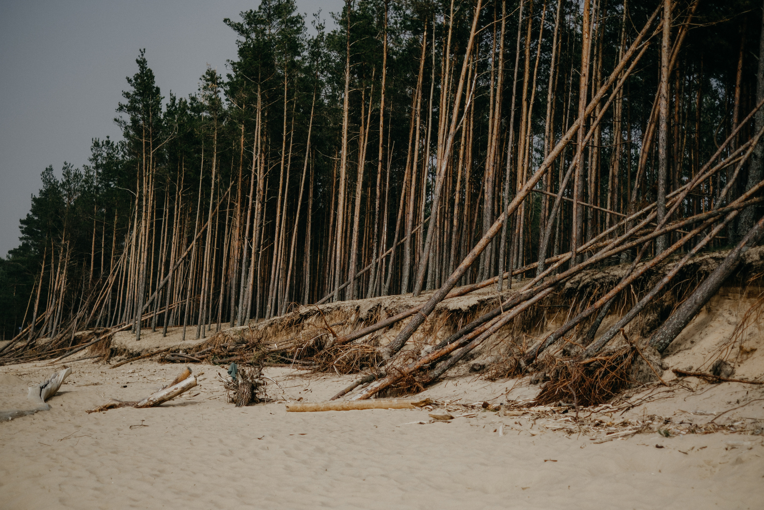 Aiga + Juris / 2021 Kāzu fotosesija pie jūras Carnikavā. Kāzu × Ģimenes notikumu fotografs Edgars Kalniņš