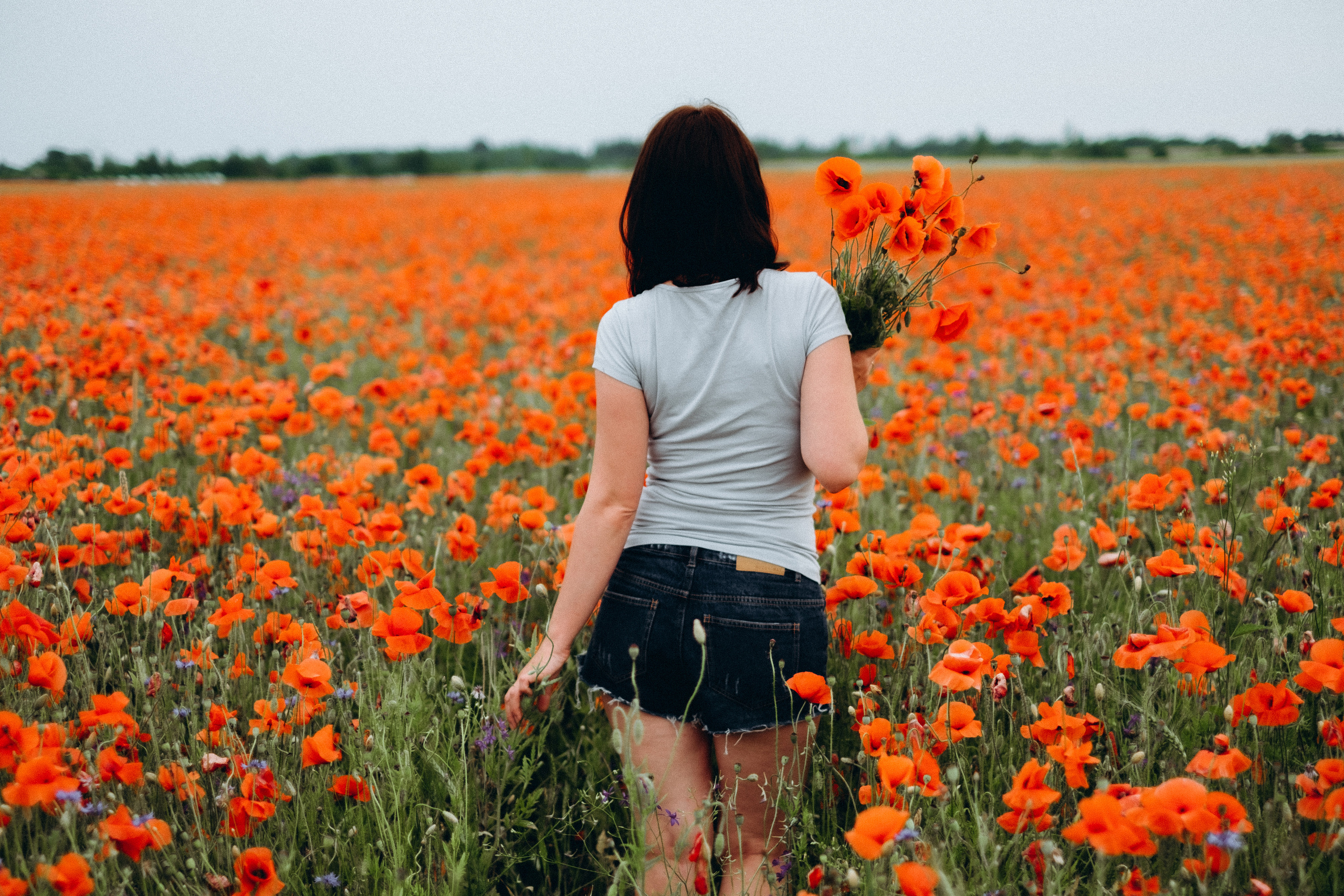 Fotosesija magoņu laukā. Kāzu × Ģimenes notikumu fotografs Edgars Kalniņš