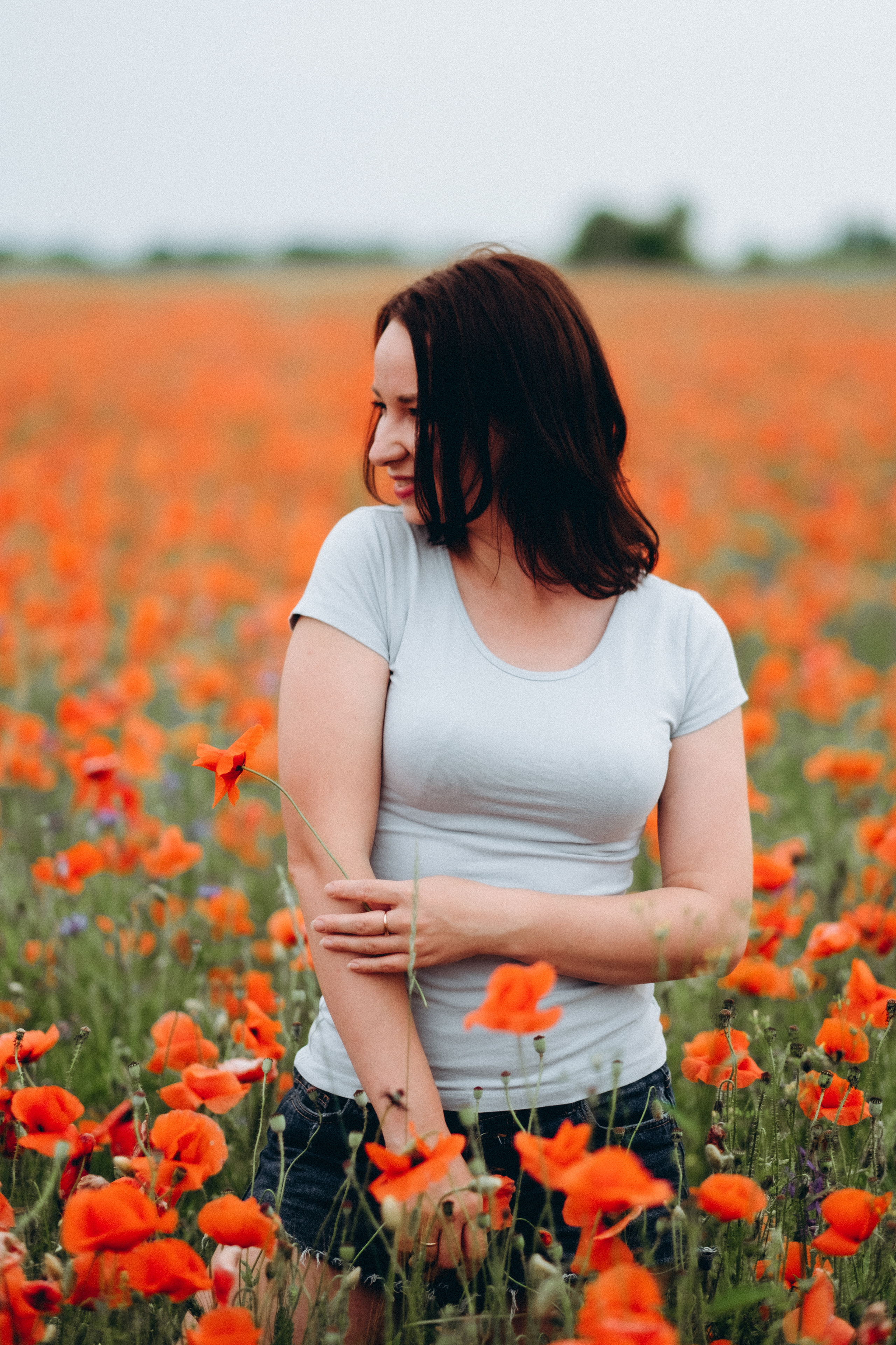 Fotosesija magoņu laukā. Kāzu × Ģimenes notikumu fotografs Edgars Kalniņš