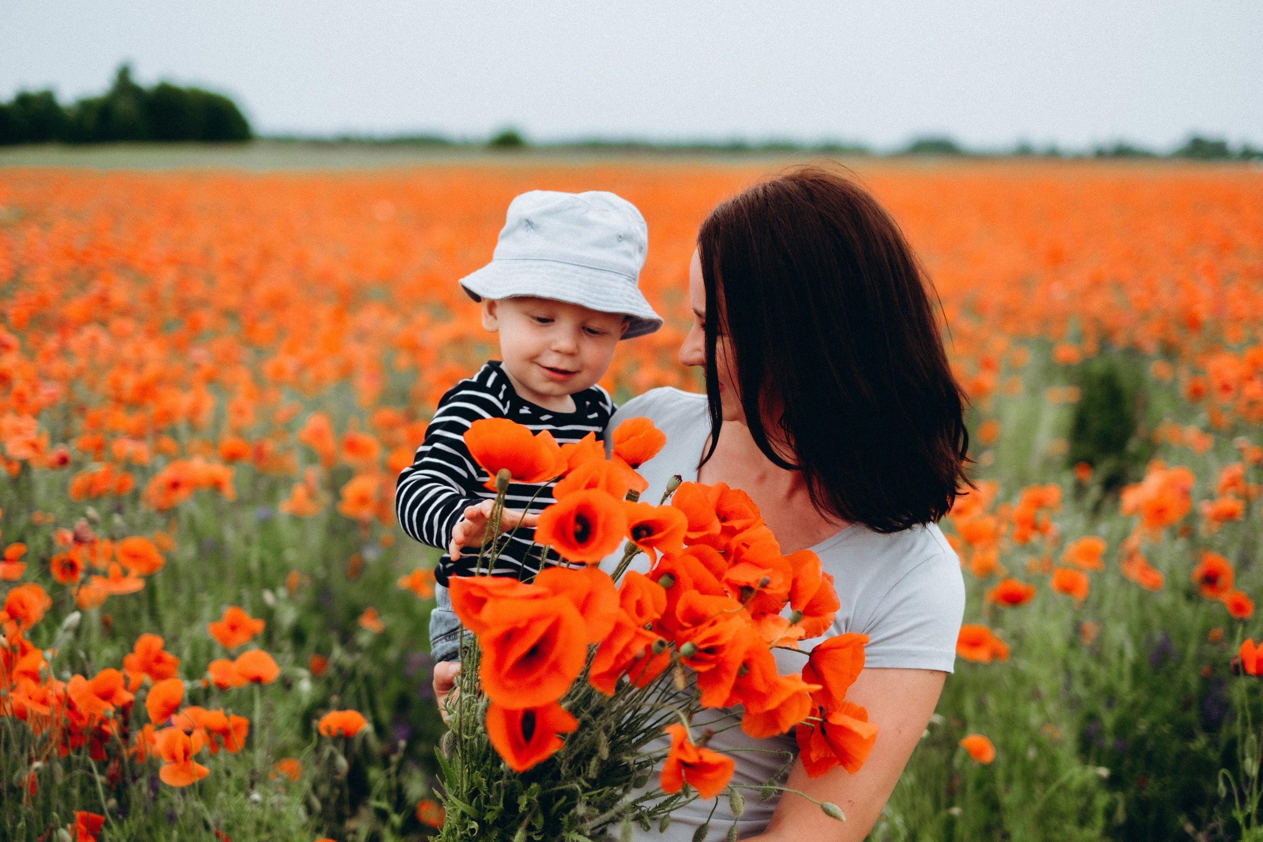 Fotosesija magoņu laukā. Kāzu × Ģimenes notikumu fotografs Edgars Kalniņš