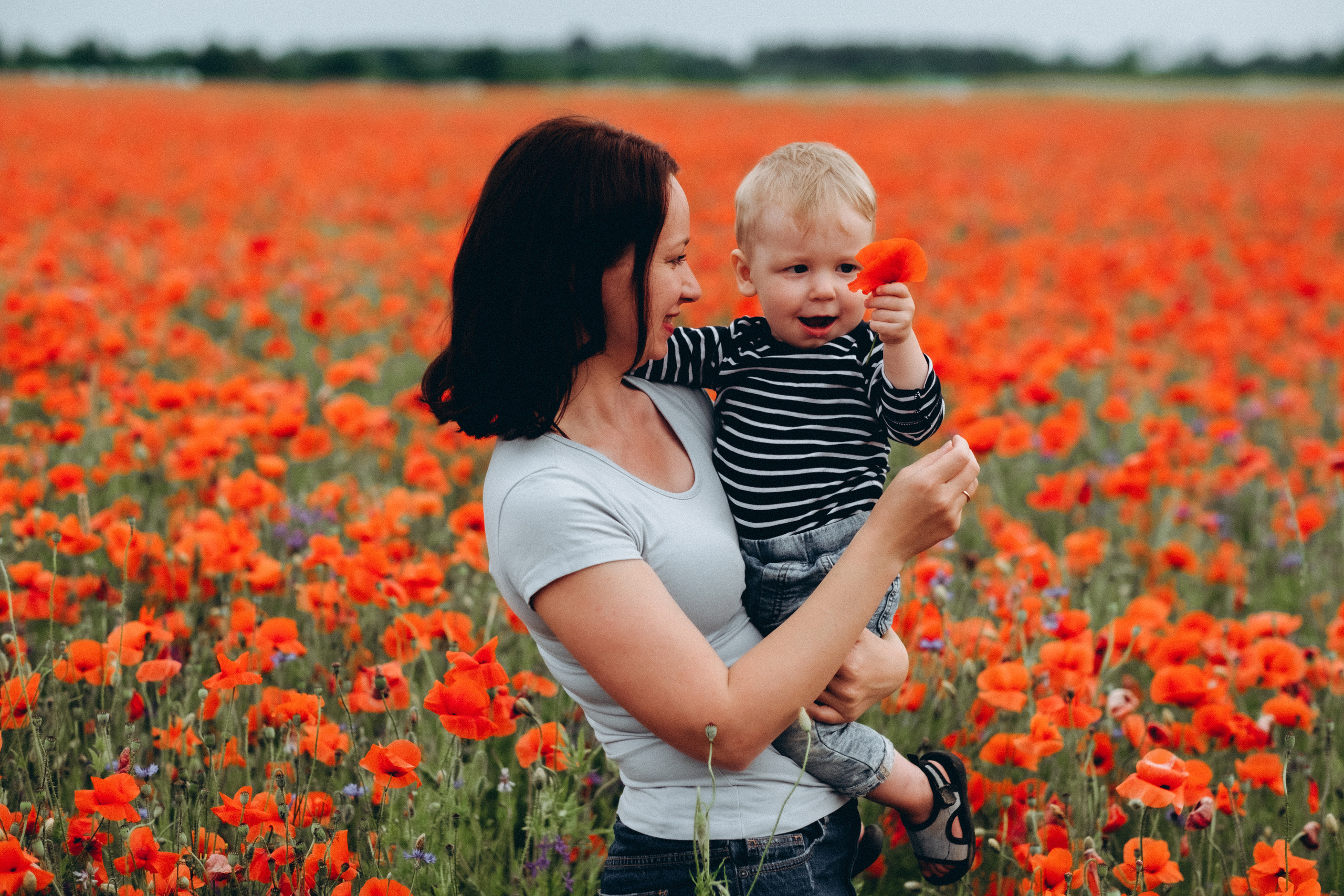 Fotosesija magoņu laukā. Kāzu × Ģimenes notikumu fotografs Edgars Kalniņš