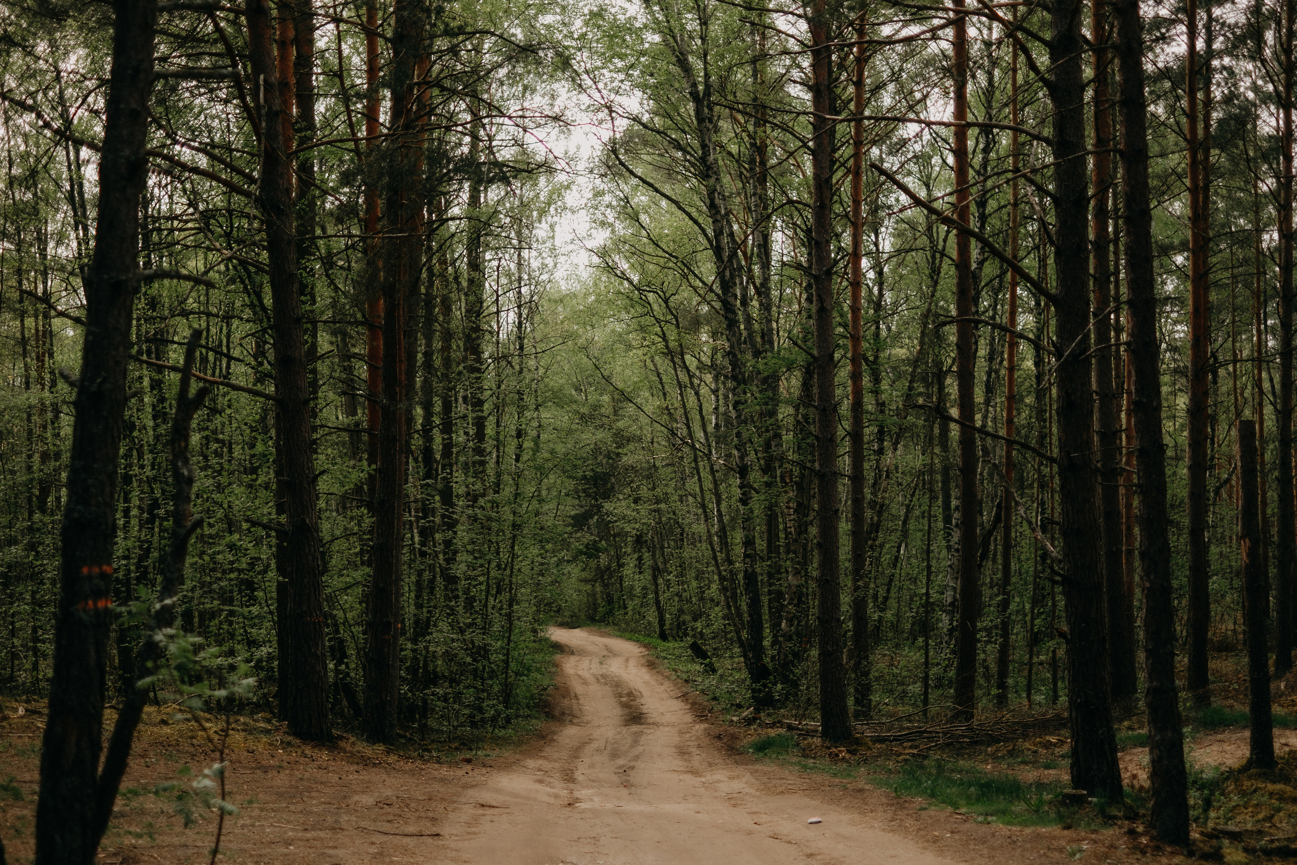 Aiga + Juris / 2021 Kāzu fotosesija pie jūras Carnikavā. Kāzu × Ģimenes notikumu fotografs Edgars Kalniņš