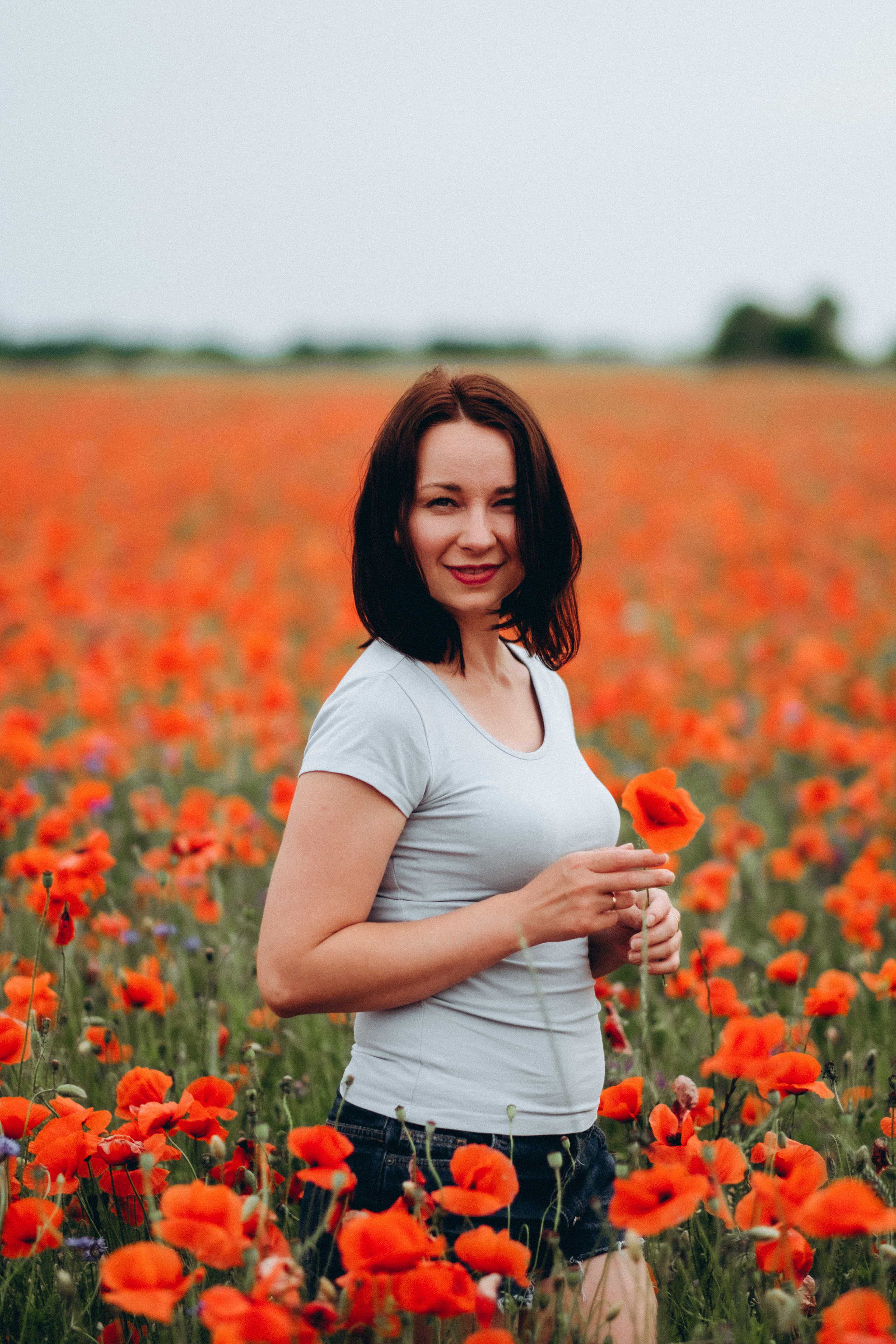 Fotosesija magoņu laukā. Kāzu × Ģimenes notikumu fotografs Edgars Kalniņš
