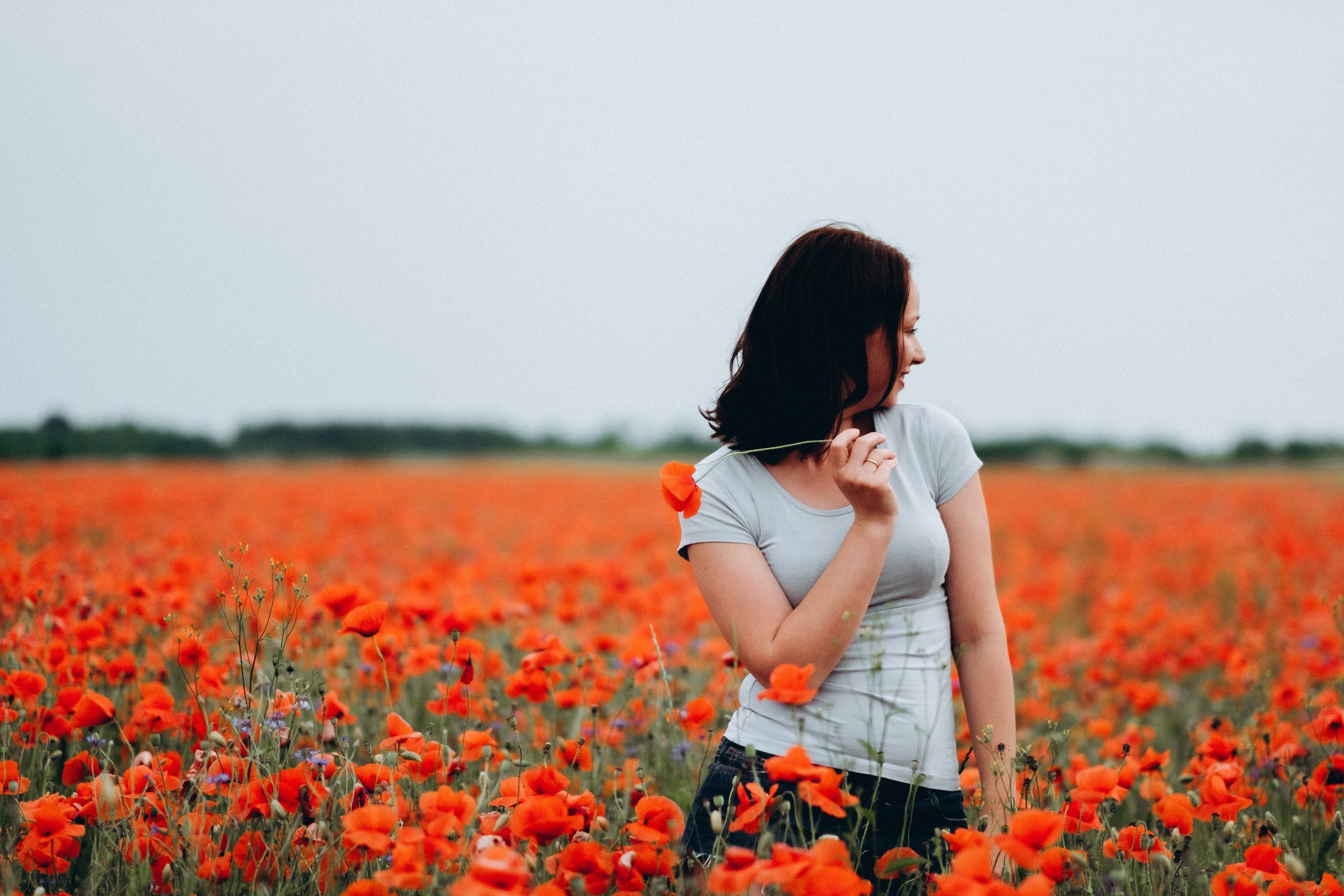 Fotosesija magoņu laukā. Kāzu × Ģimenes notikumu fotografs Edgars Kalniņš