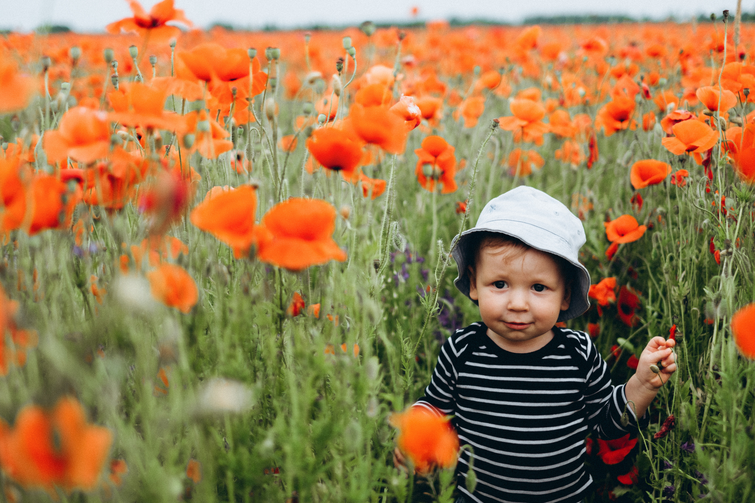 Fotosesija magoņu laukā. Kāzu × Ģimenes notikumu fotografs Edgars Kalniņš