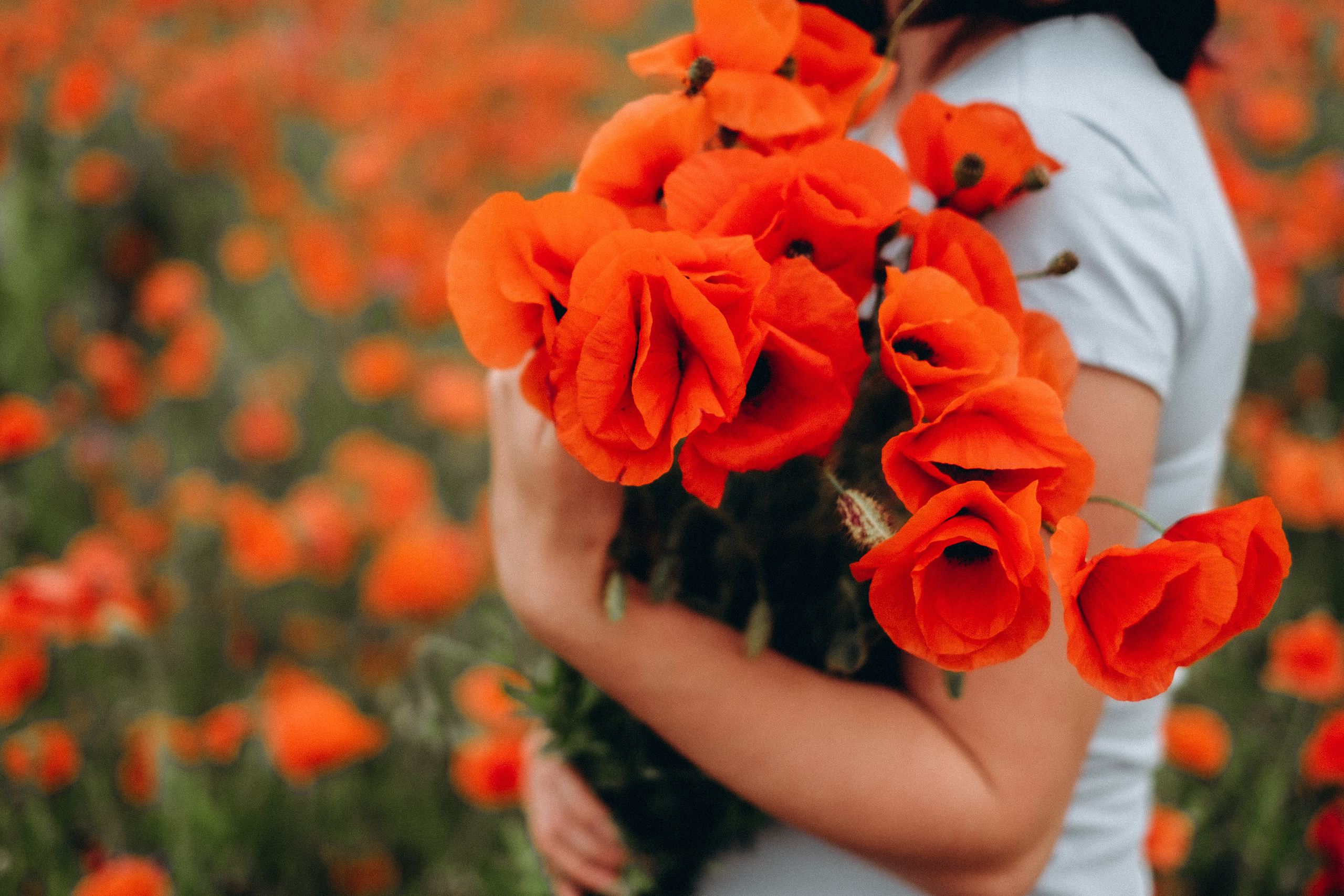 Fotosesija magoņu laukā. Kāzu × Ģimenes notikumu fotografs Edgars Kalniņš