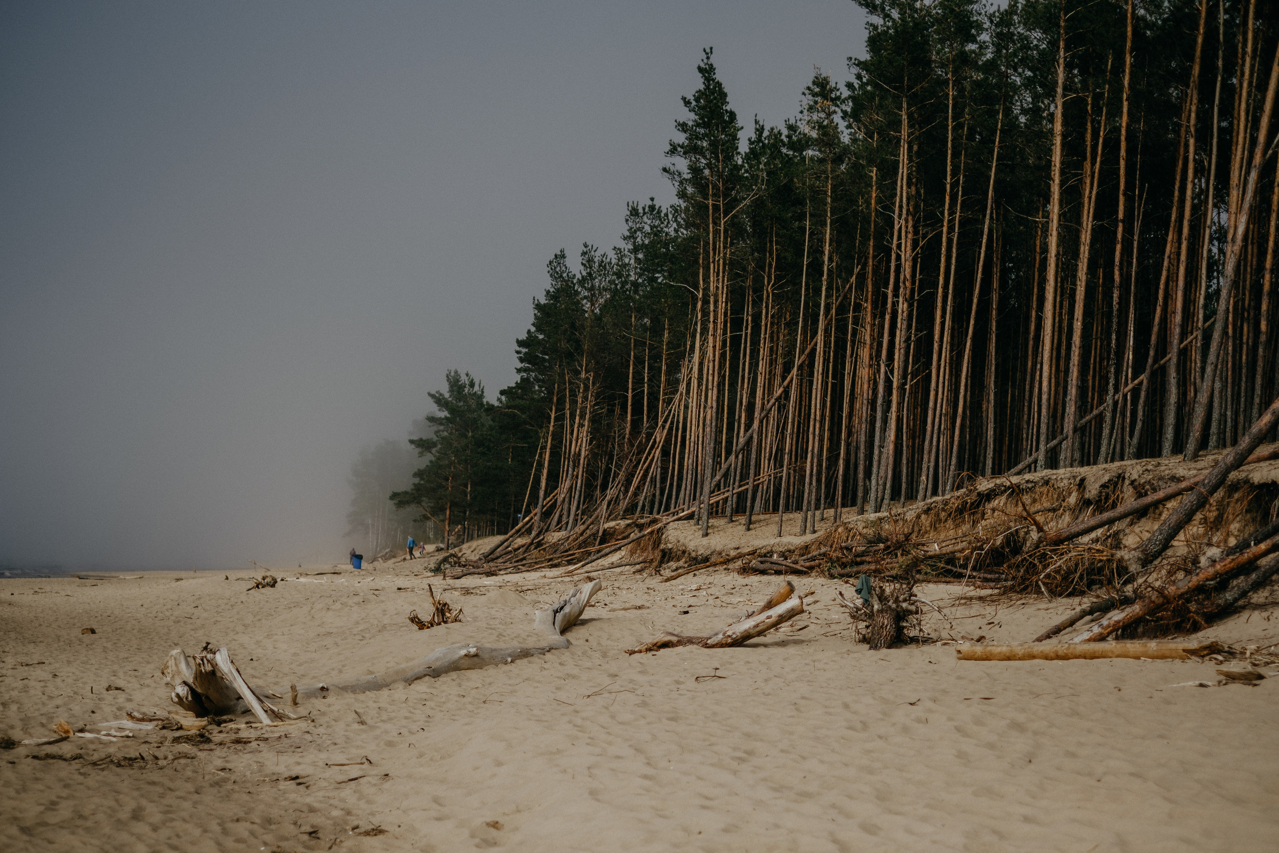Aiga + Juris / 2021 Kāzu fotosesija pie jūras Carnikavā. Kāzu × Ģimenes notikumu fotografs Edgars Kalniņš