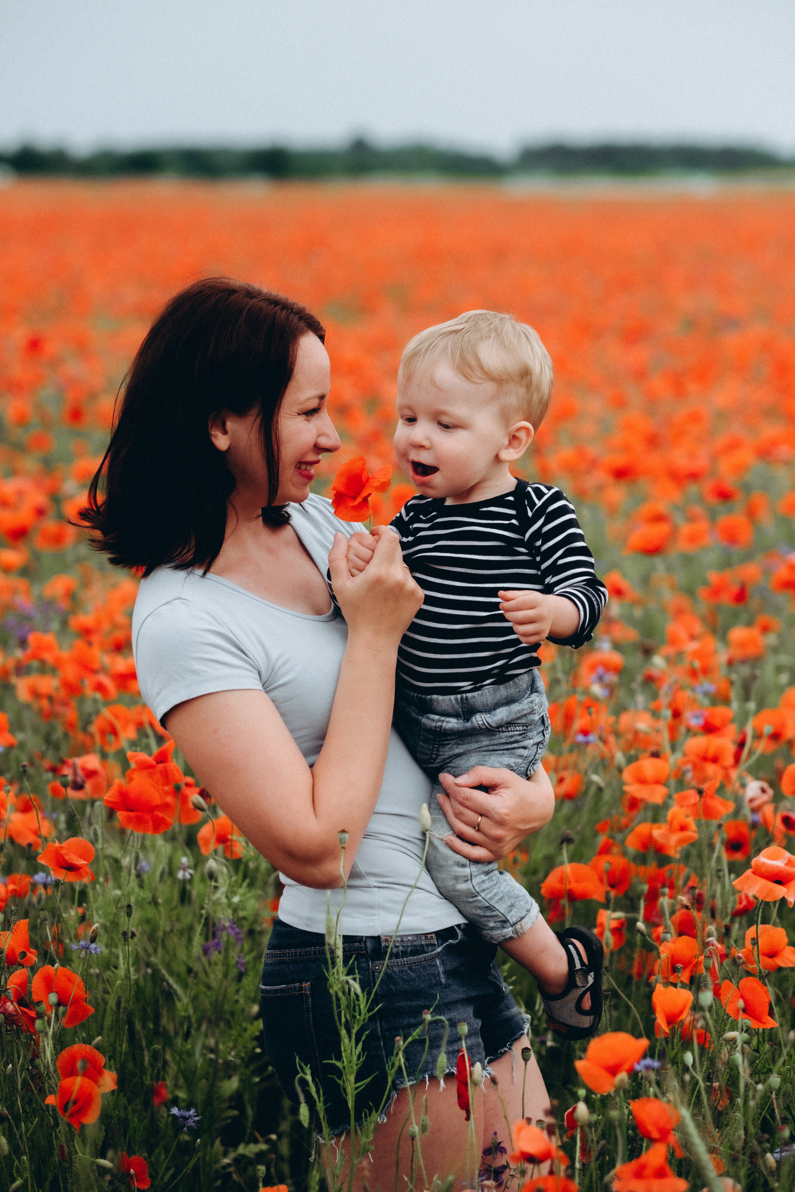 Fotosesija magoņu laukā. Kāzu × Ģimenes notikumu fotografs Edgars Kalniņš