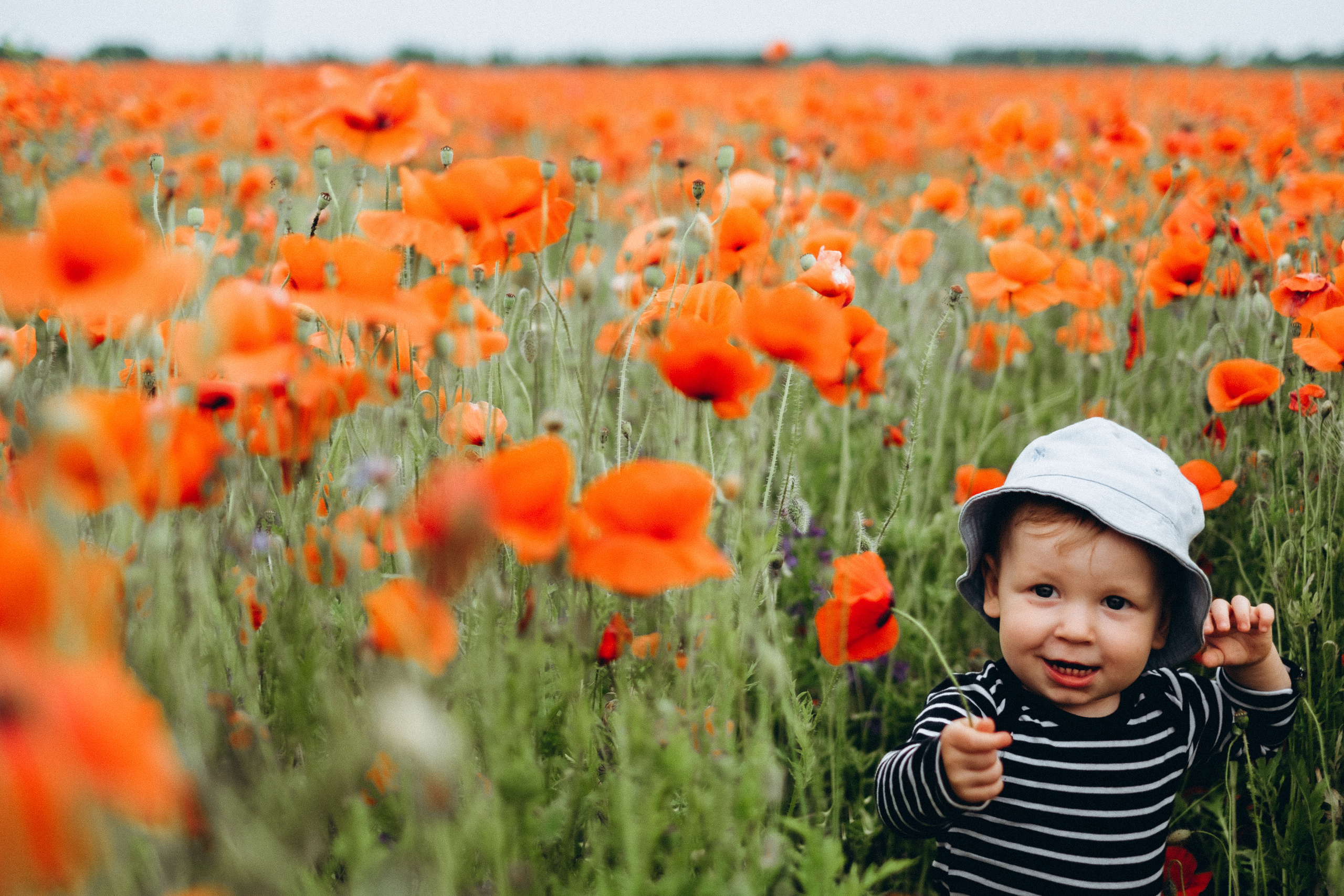 Fotosesija magoņu laukā. Kāzu × Ģimenes notikumu fotografs Edgars Kalniņš