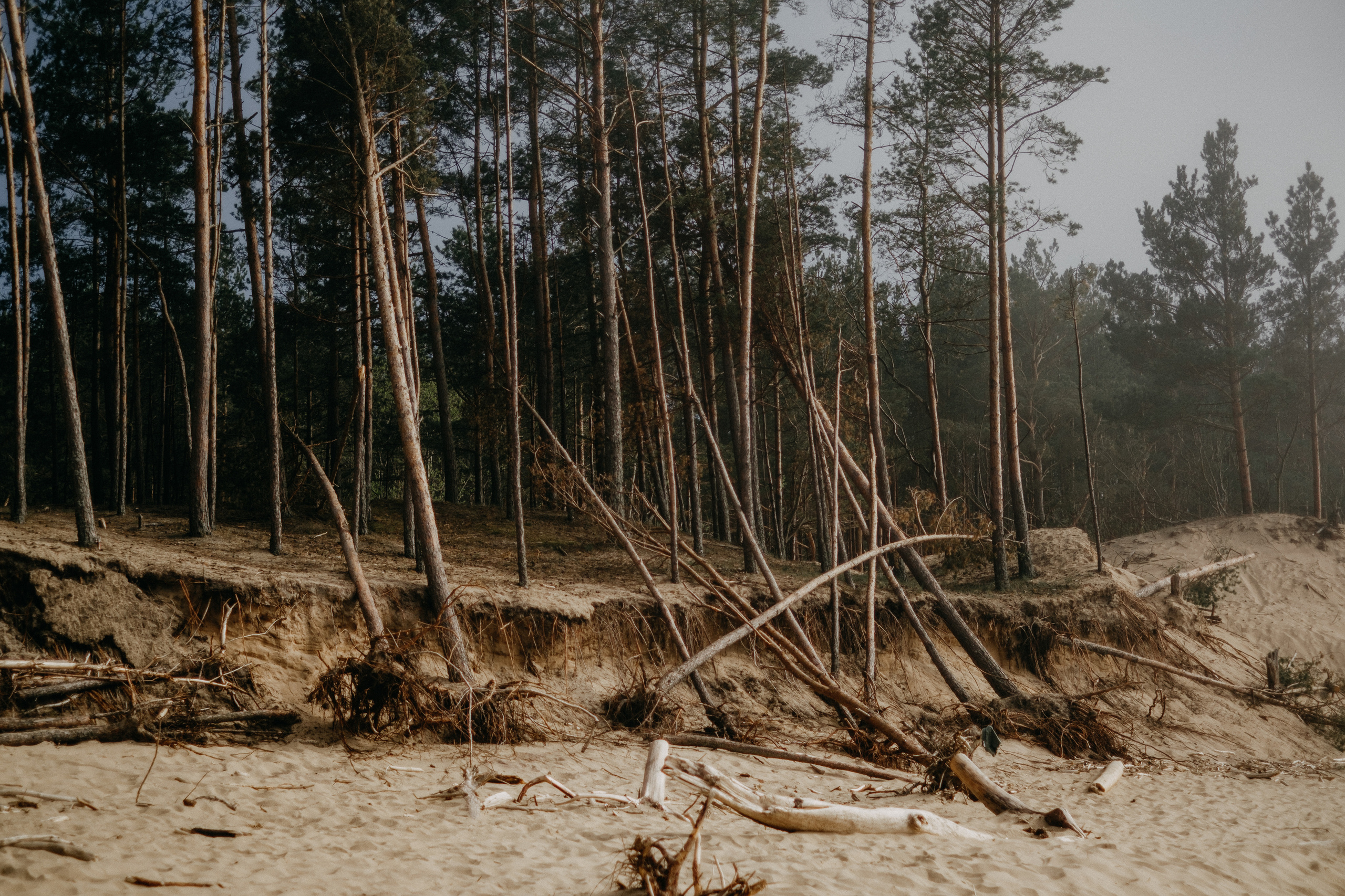 Aiga + Juris / 2021 Kāzu fotosesija pie jūras Carnikavā. Kāzu × Ģimenes notikumu fotografs Edgars Kalniņš