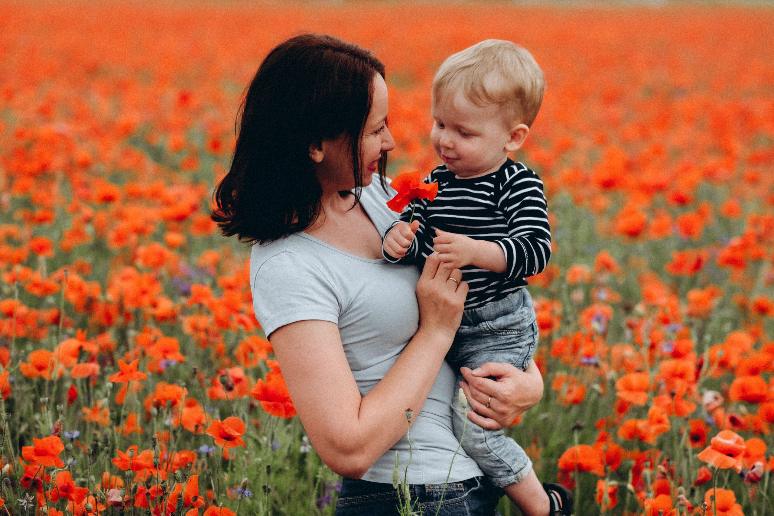 Fotosesija magoņu laukā. Kāzu × Ģimenes notikumu fotografs Edgars Kalniņš