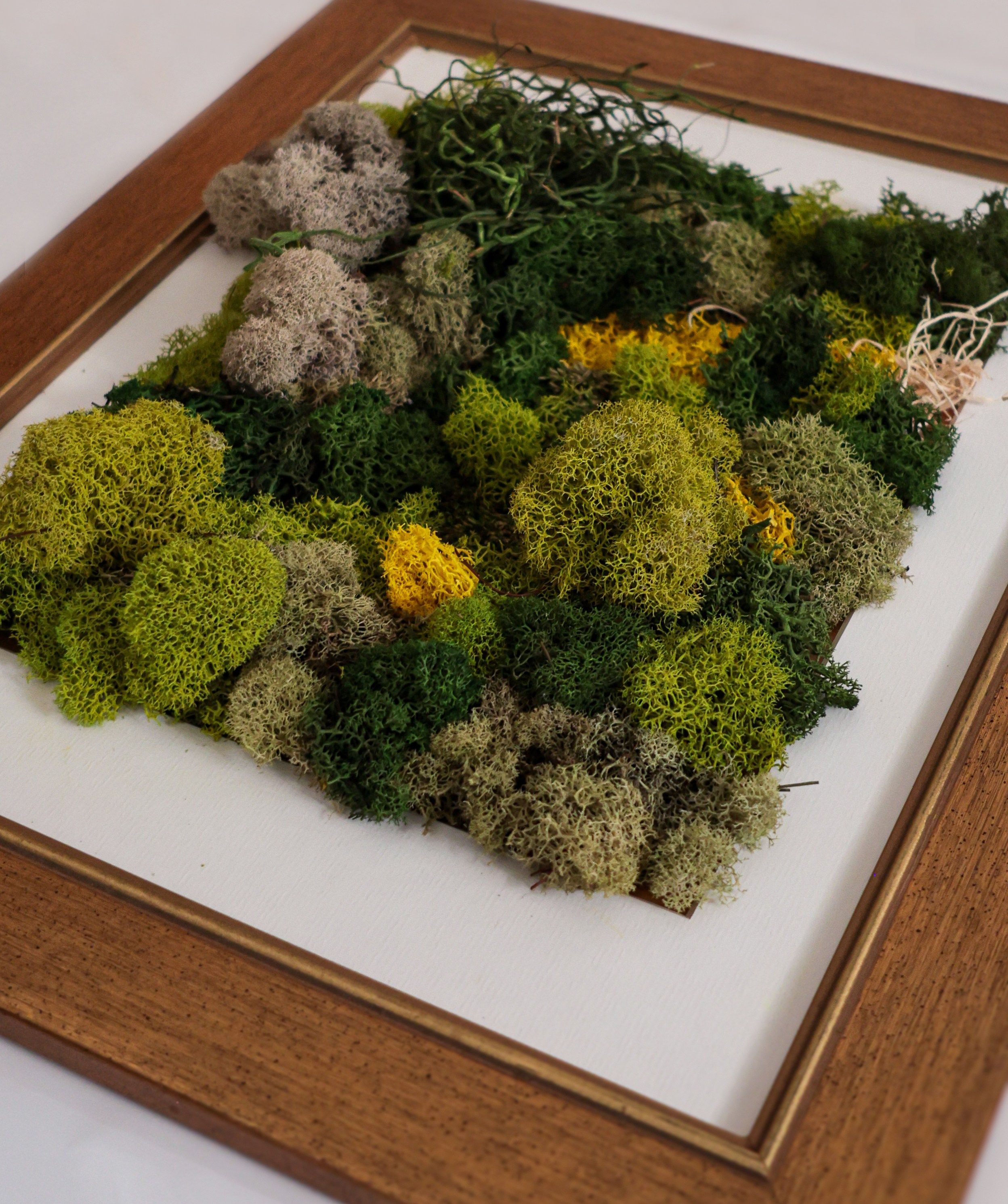 Anna & Moss magic, Content. Yana Bobrova | Artistic Photography