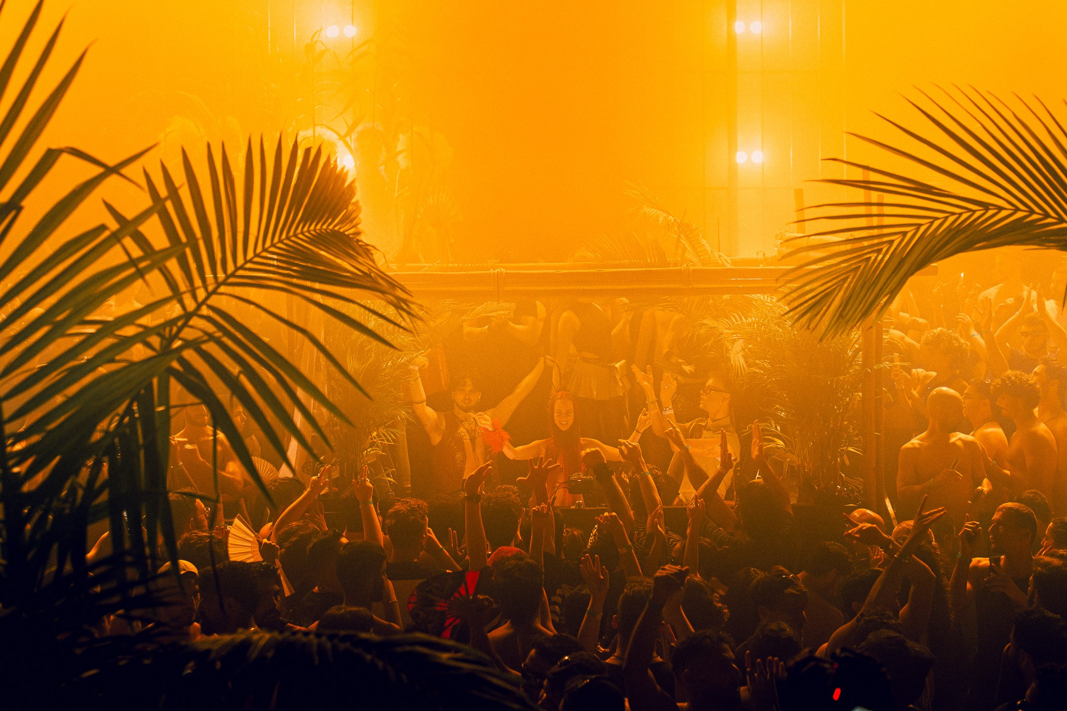 Raves. Shay Rod Visuals
