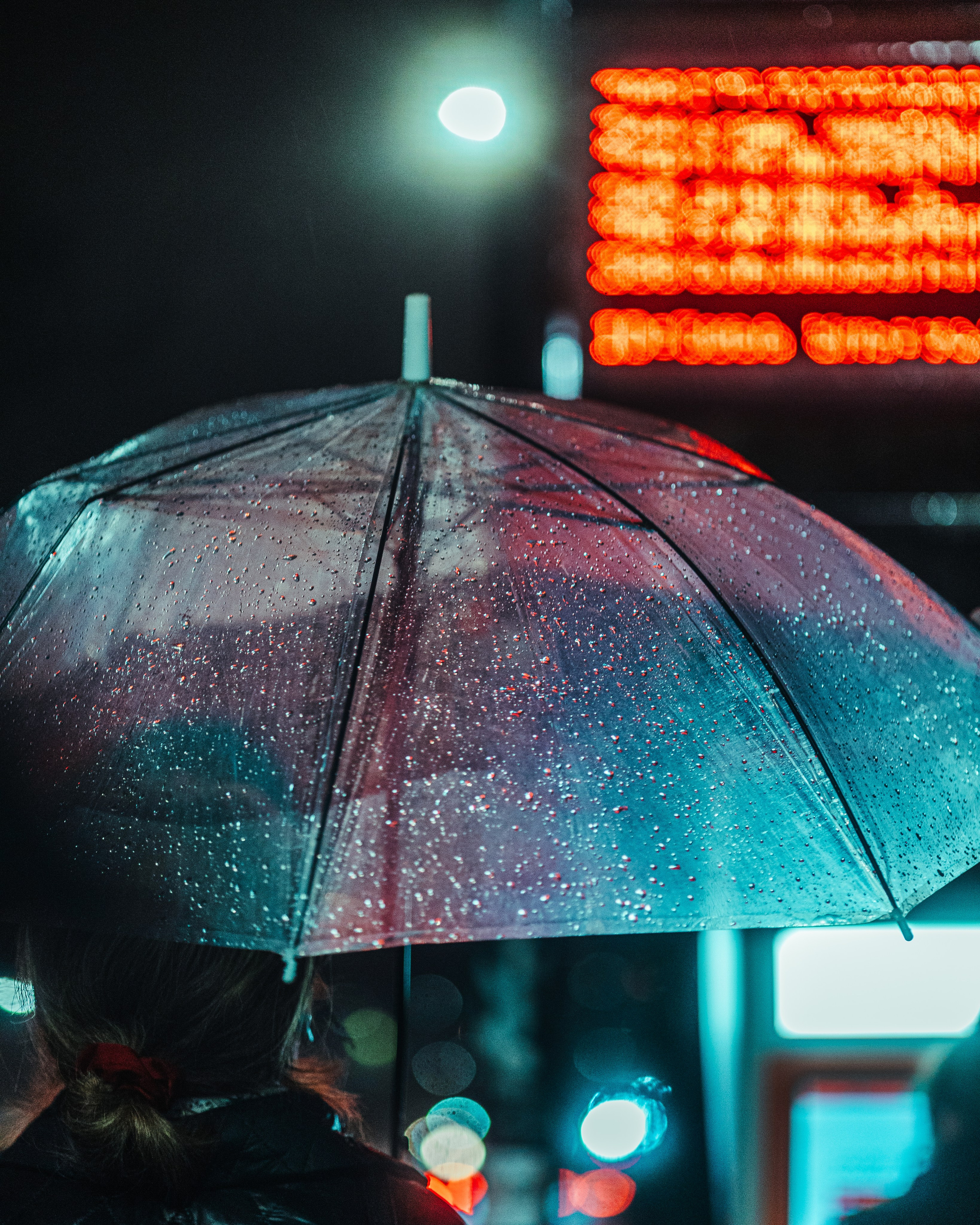 T B I L I S I 2025. Bspander