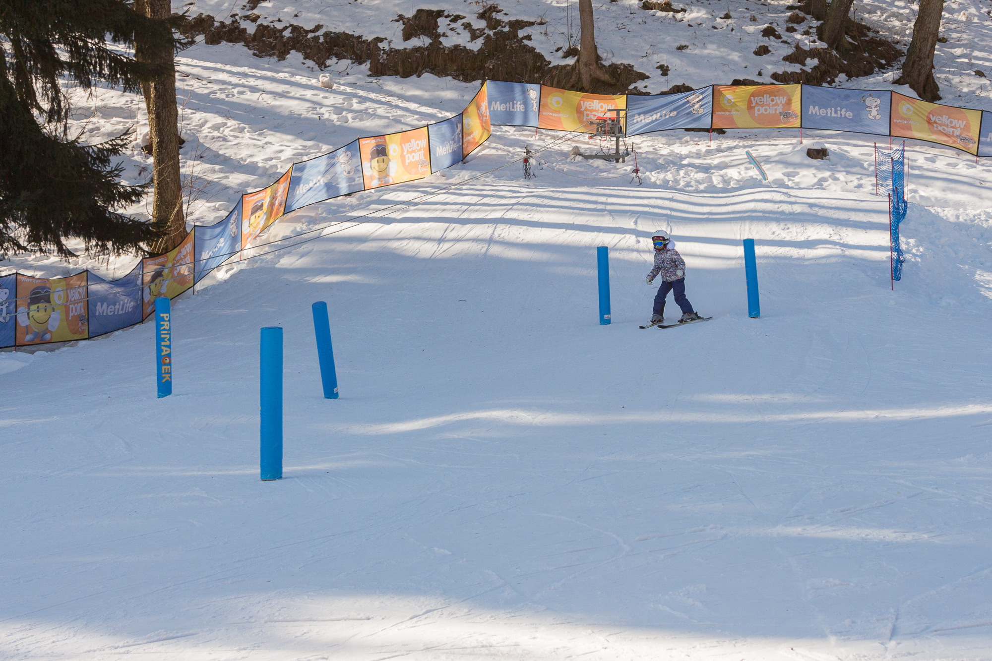Ski School Yellow Point, Herlikovice. Kiki-Niki-Cha! Learn, play, and discover with us!