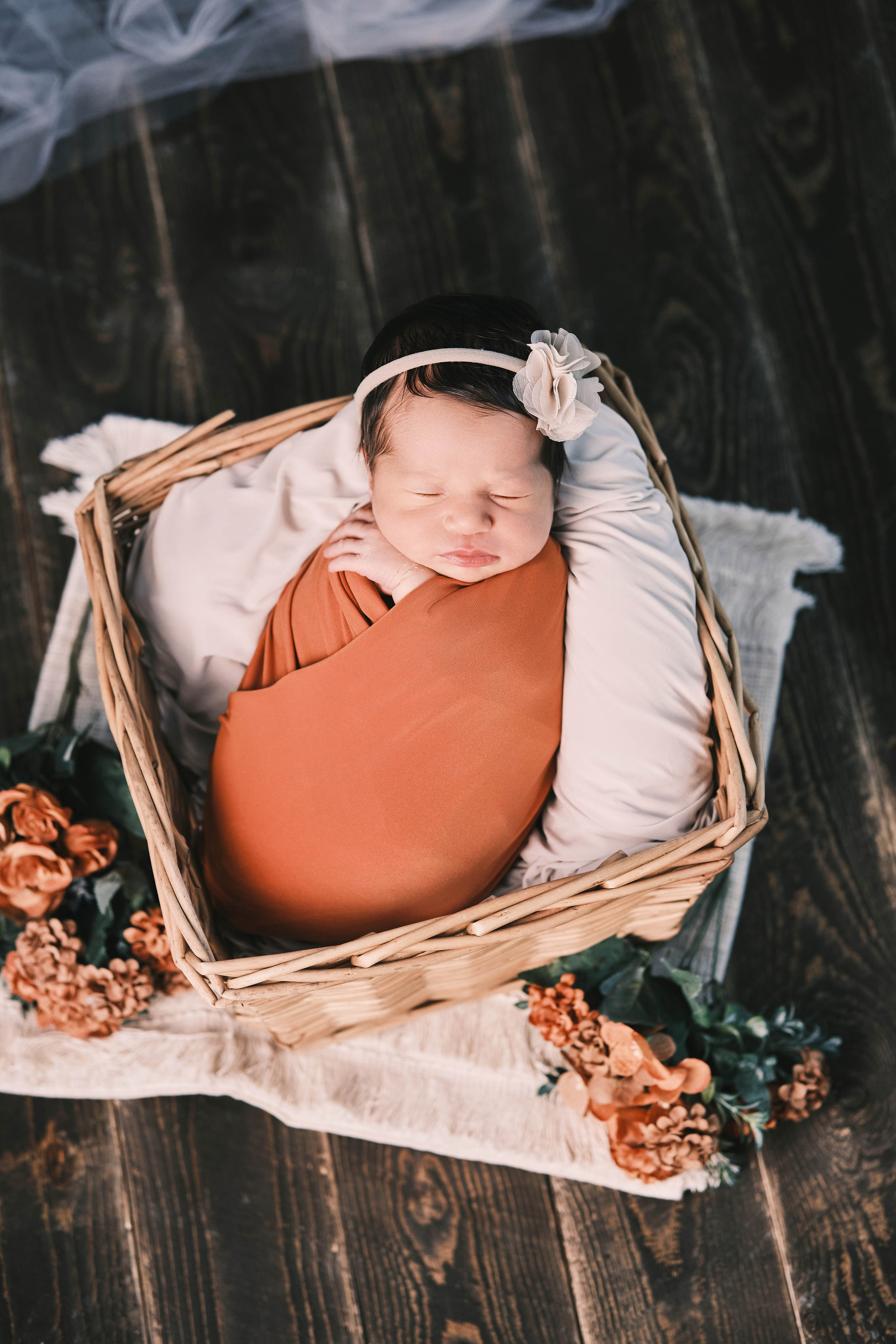 Studio photography. Anghel’sPhoto