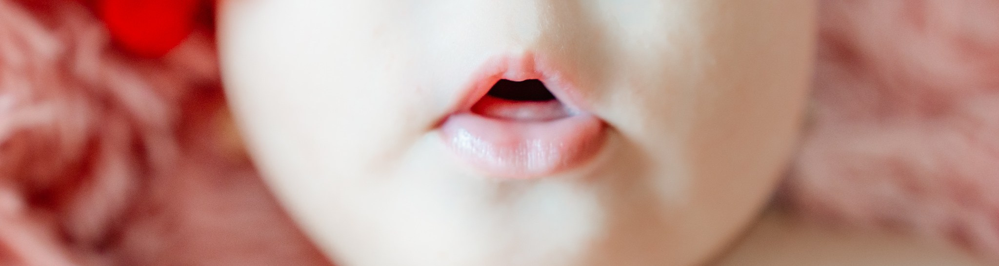 Botez Evelina — Fotografie de botez. Fotografie & Videografie Nunta