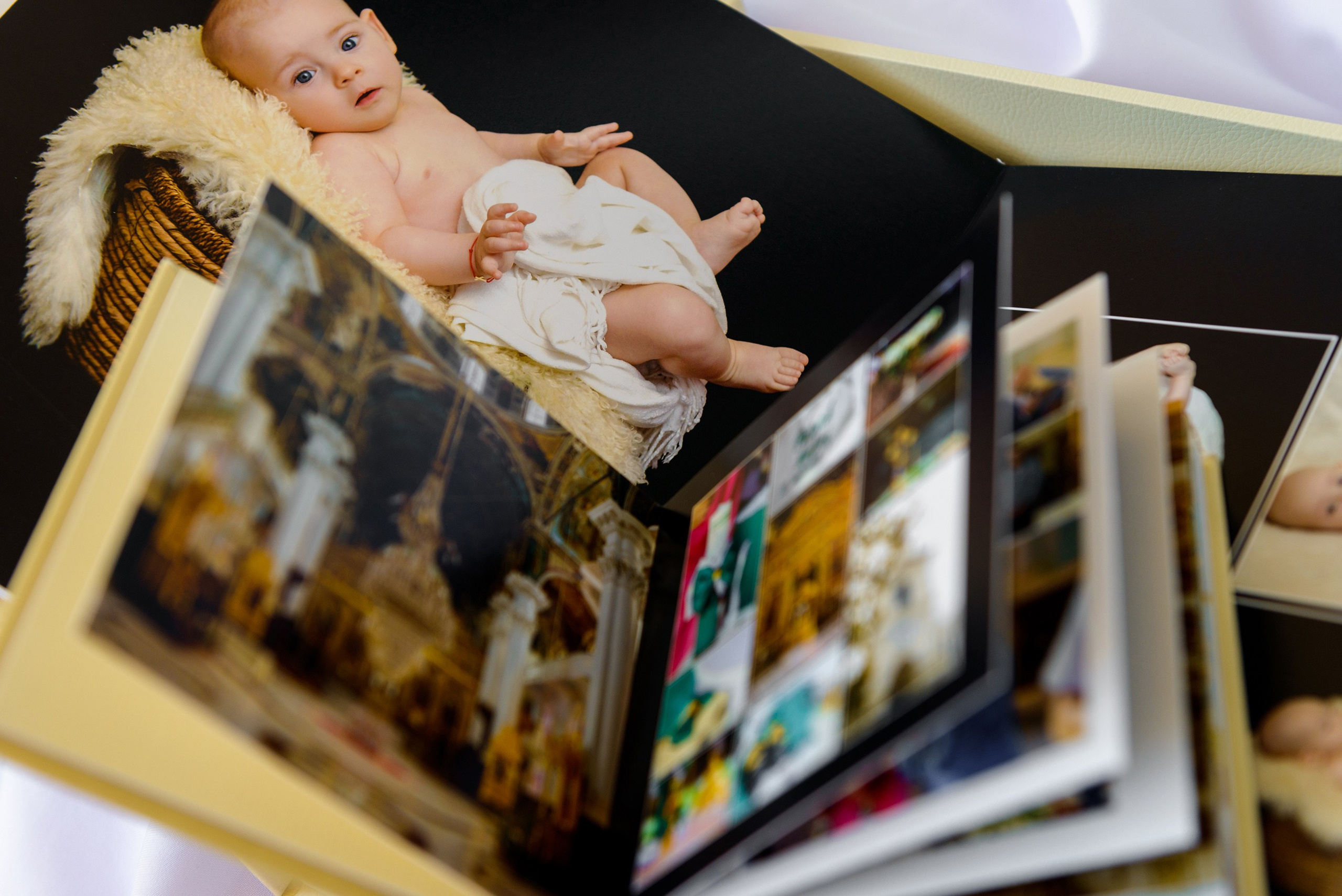 Albume Bogdan Palenciuc