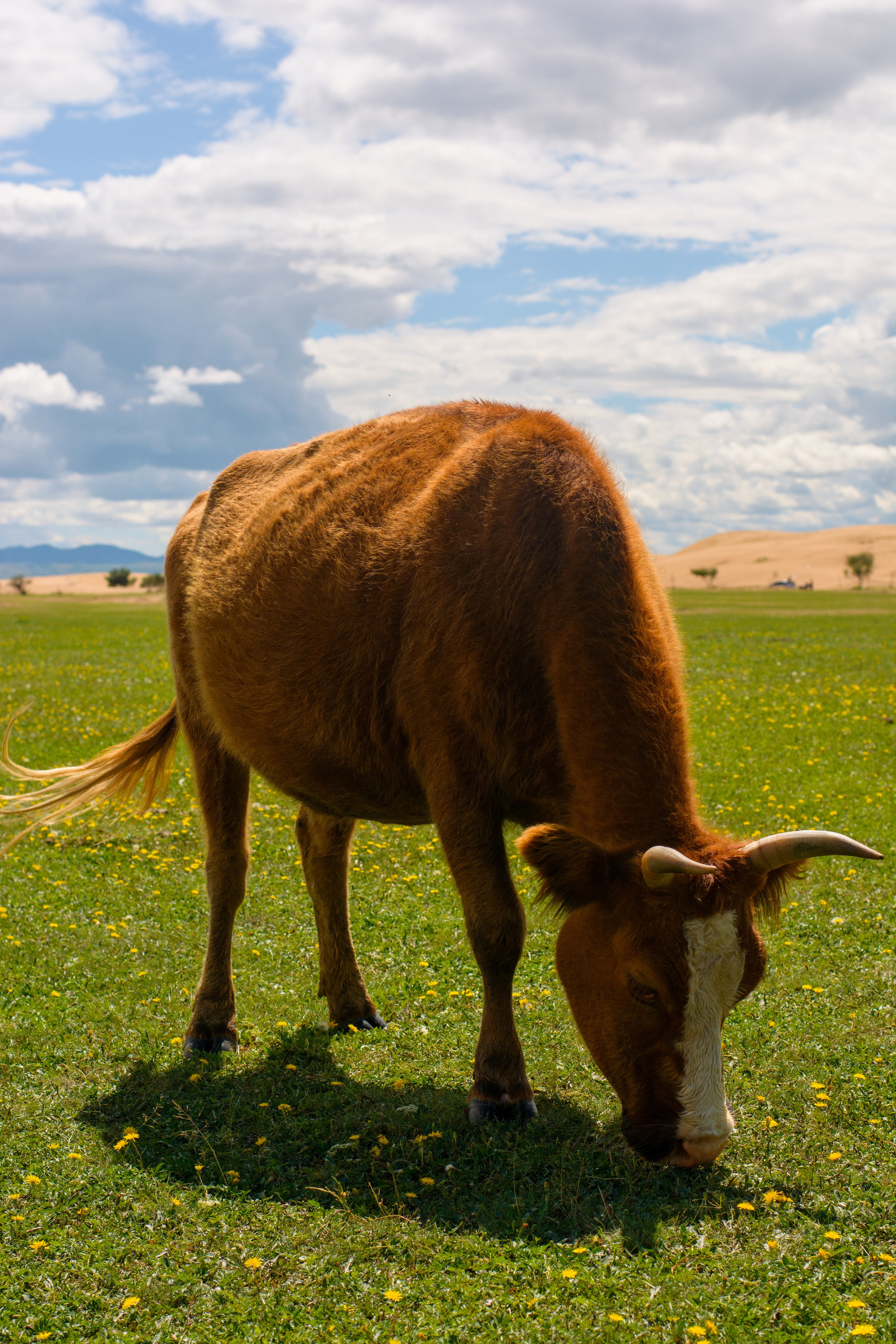 Photography. ODIX Creative