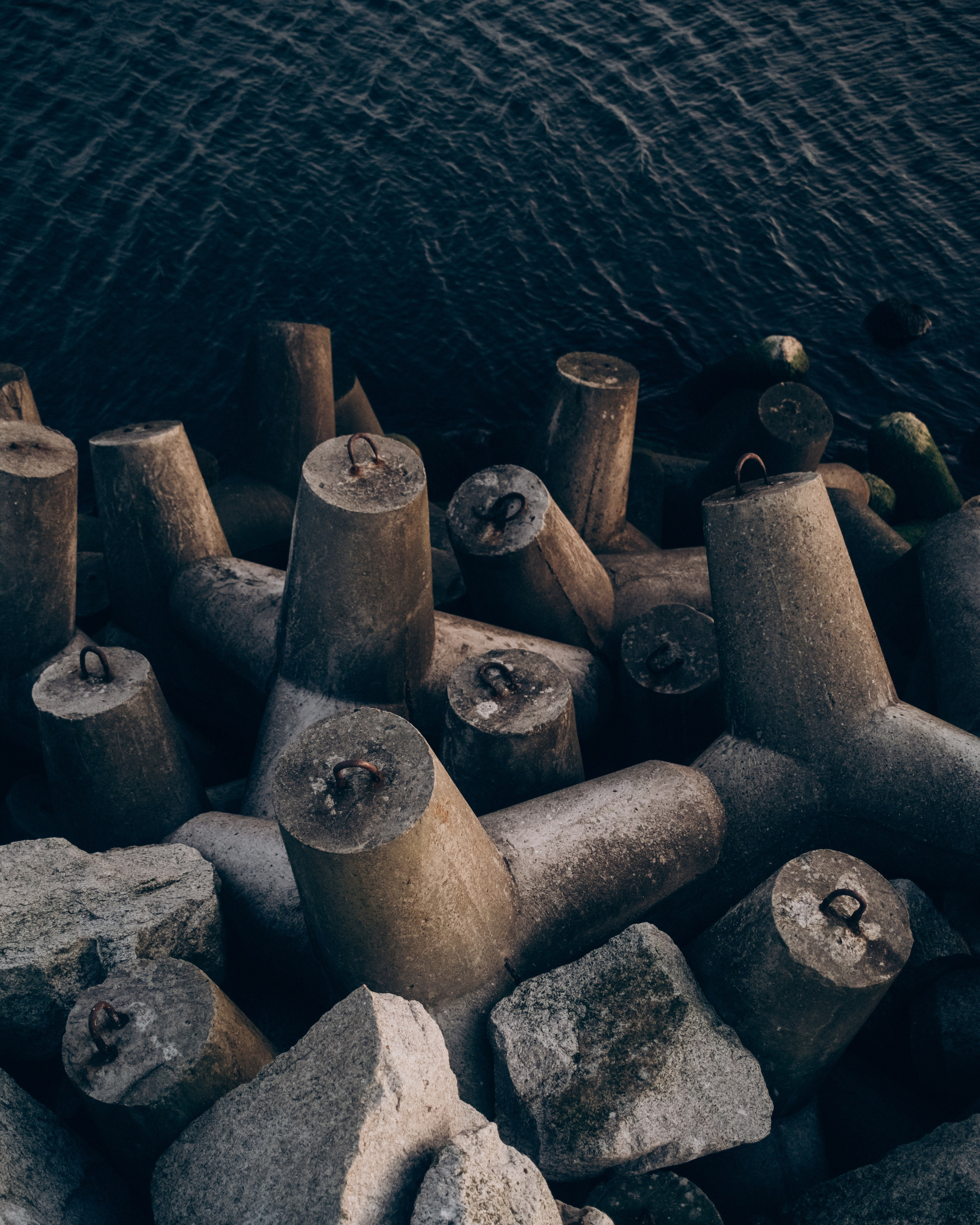 Roaming. Mike Avelli