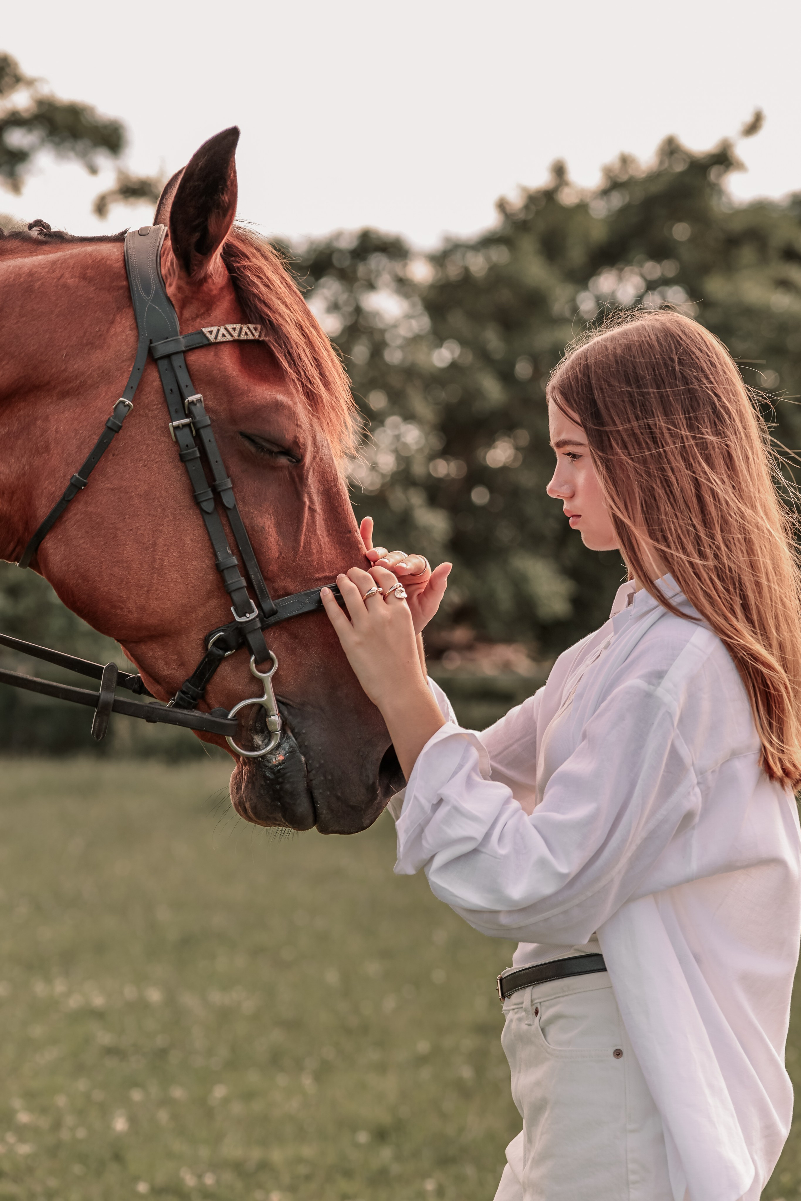 Among the Horses. Photographer Co Dublin, Balbriggan — Agata Maliseva