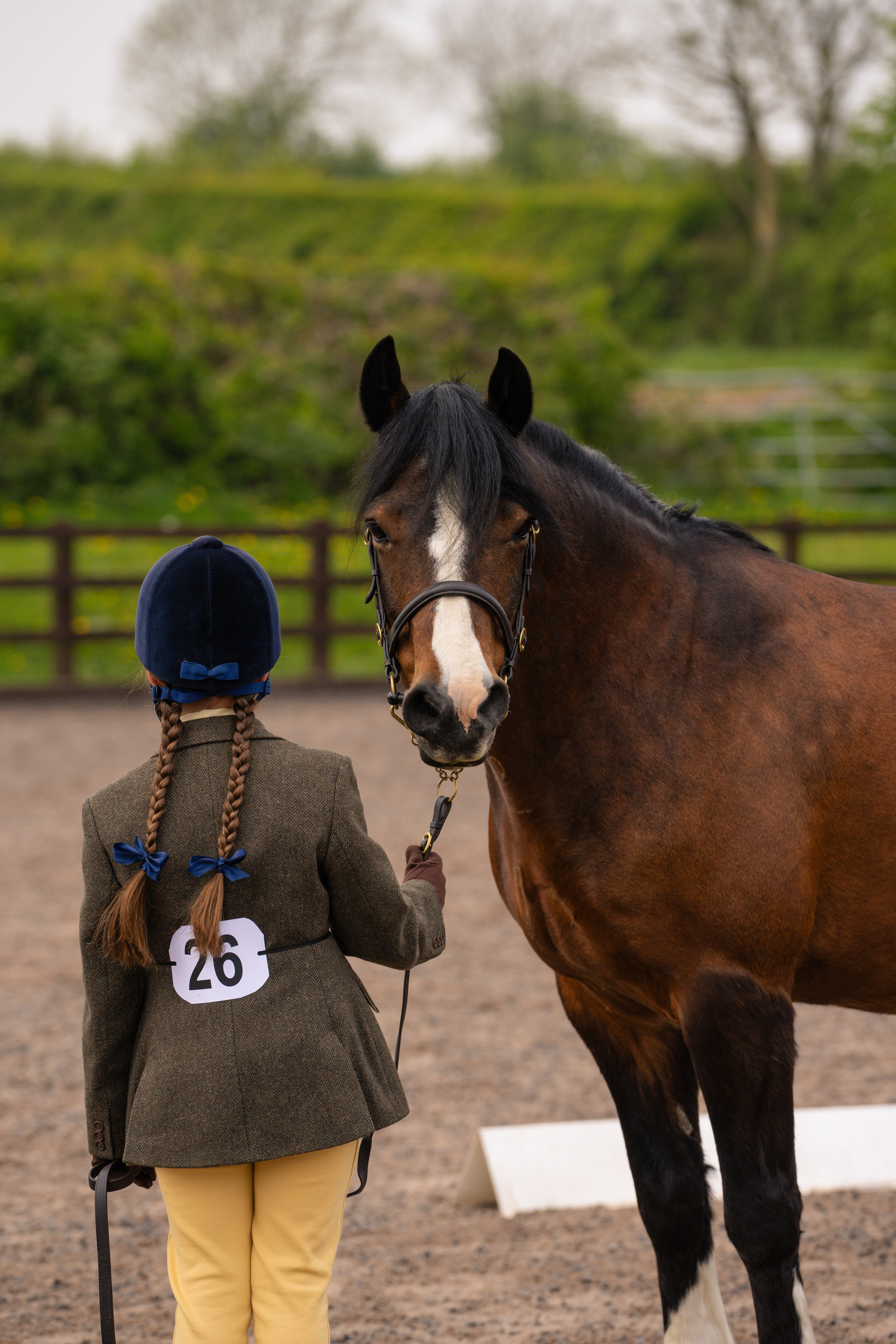 Showing. Leicestershire Equine Photography by El | Authentic Equine Portraits & Events