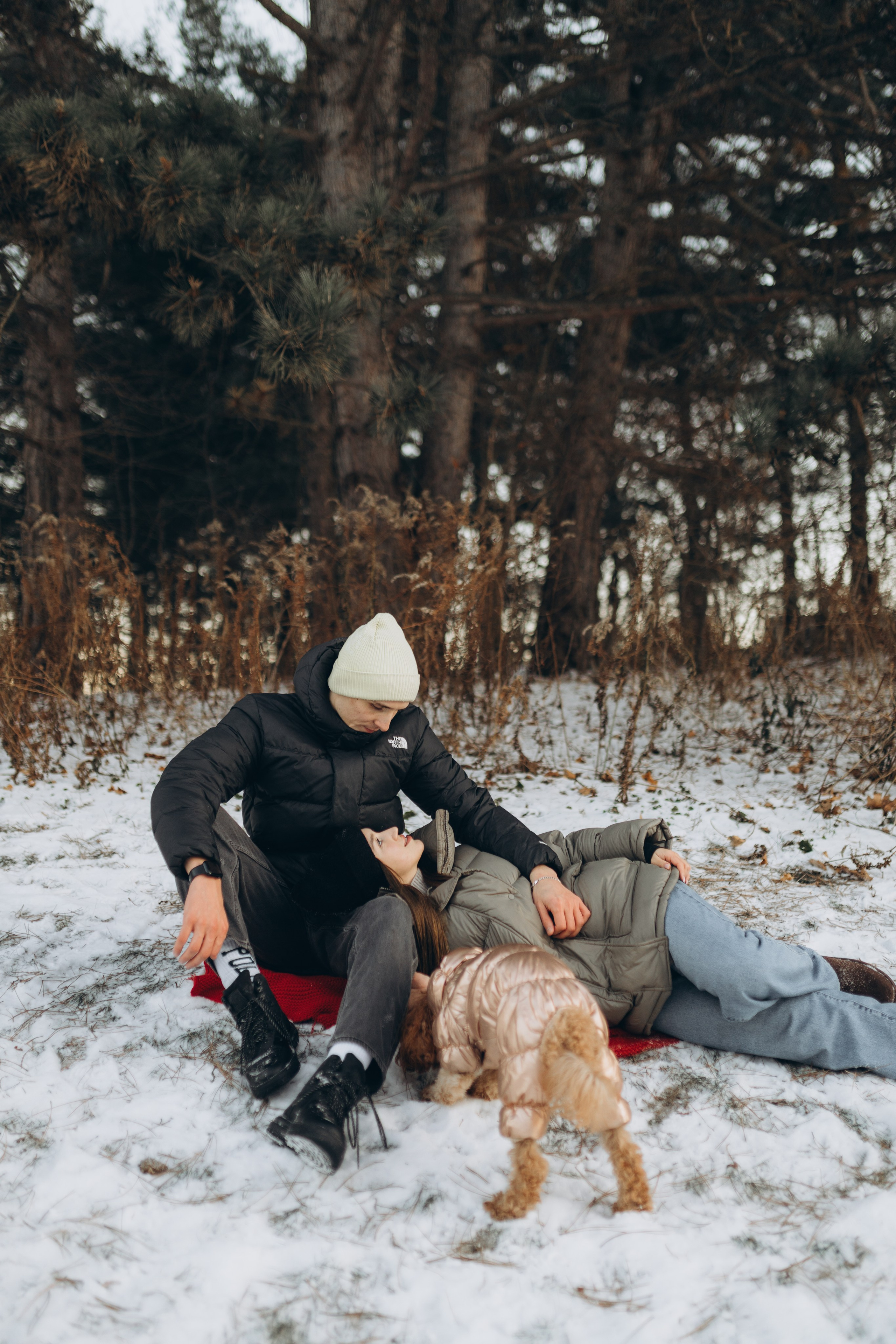 Winter magic. Chernenko.photography