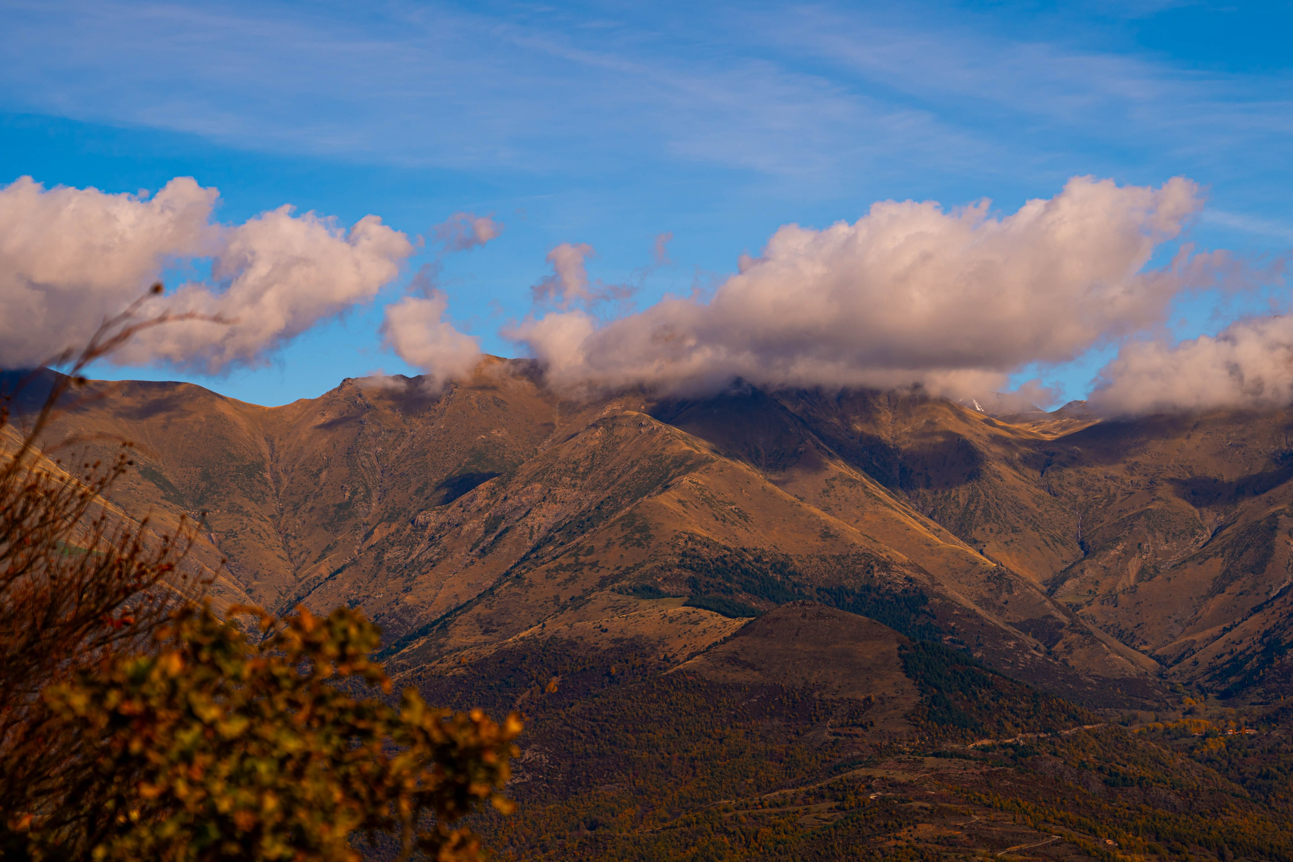 Ruta Otoño. Alba del Norte Studio