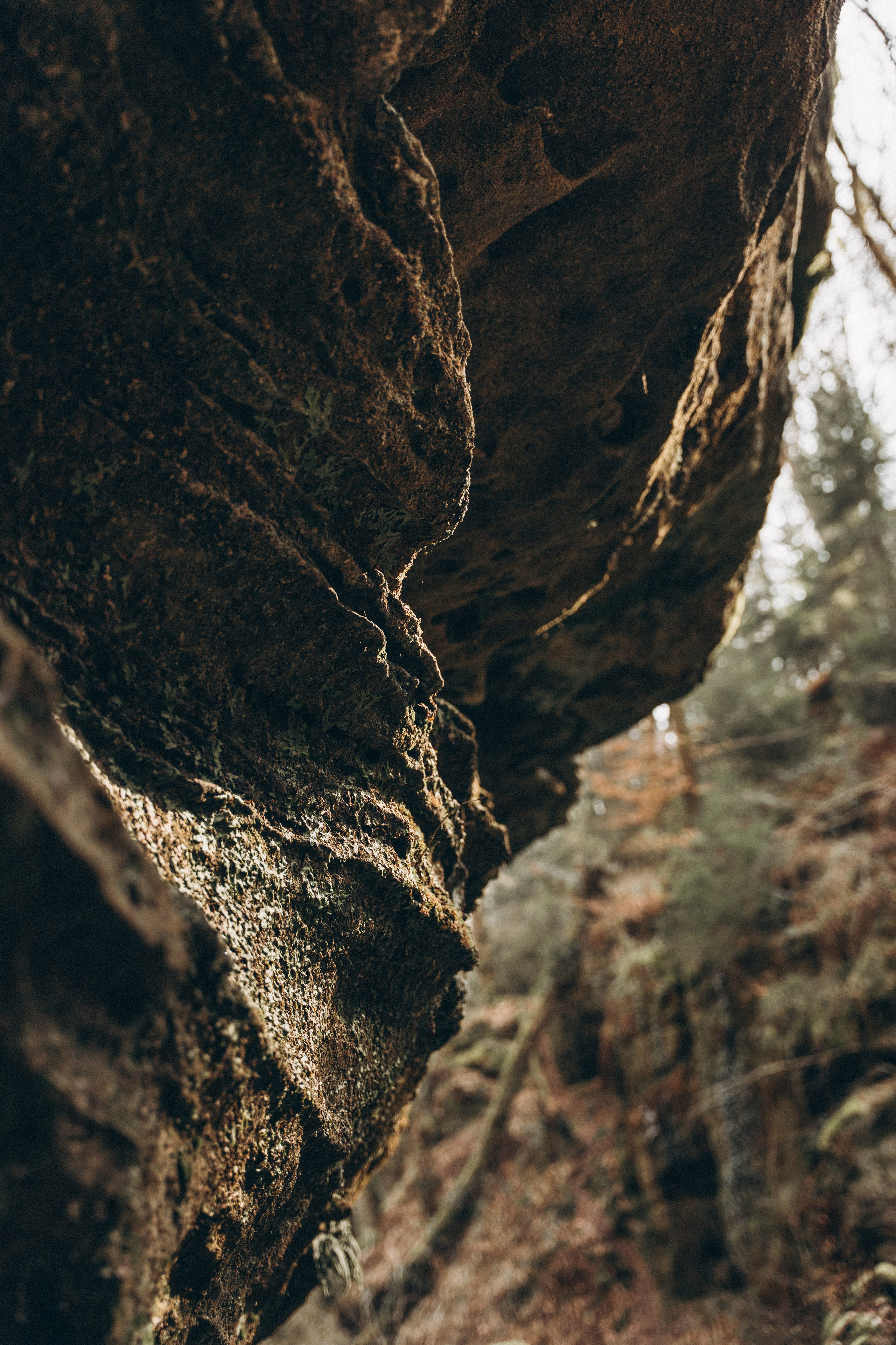 Müllerthal. Elena Seewald