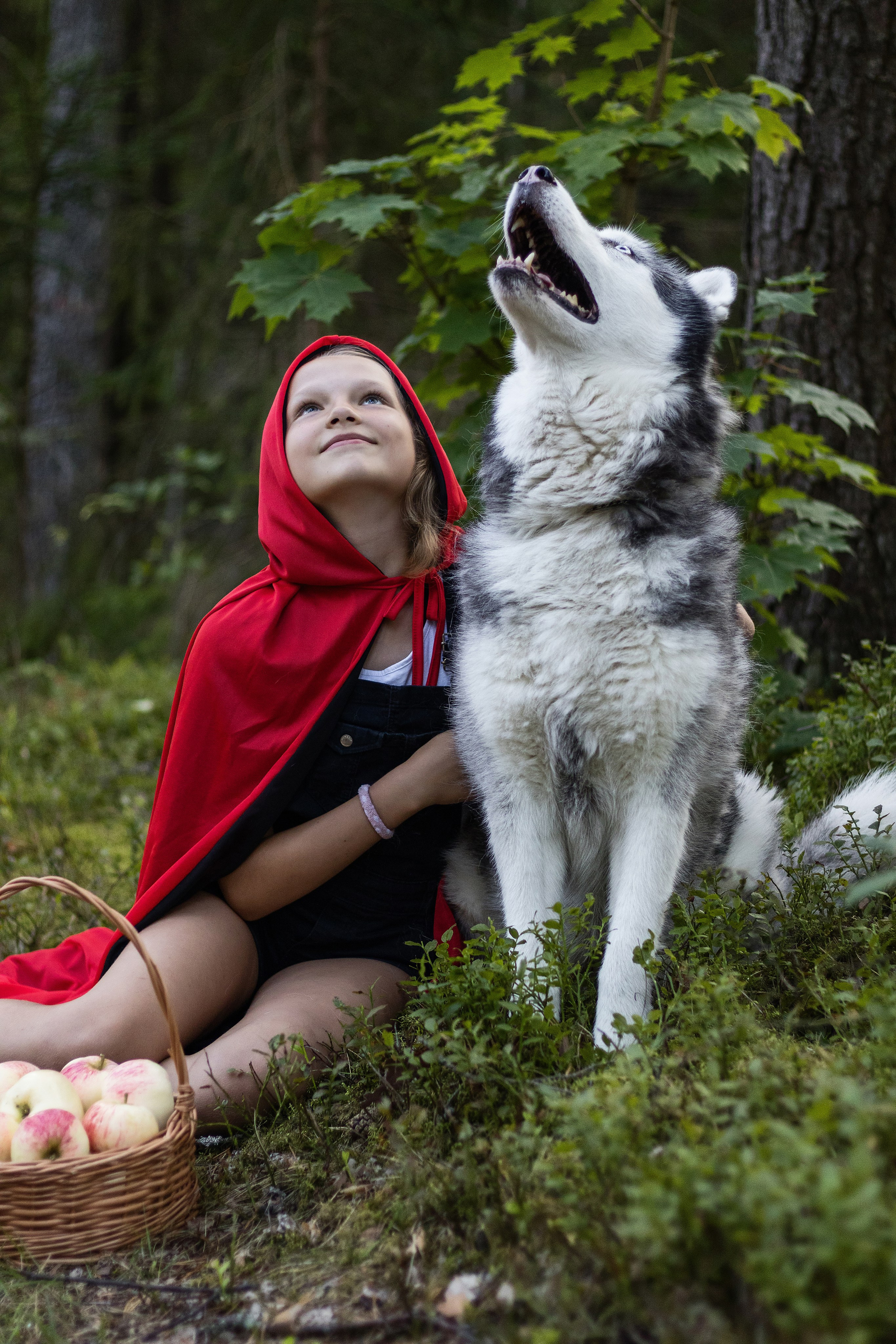 Фотосессия красная шапочка. Фотограф / Даугавпилс