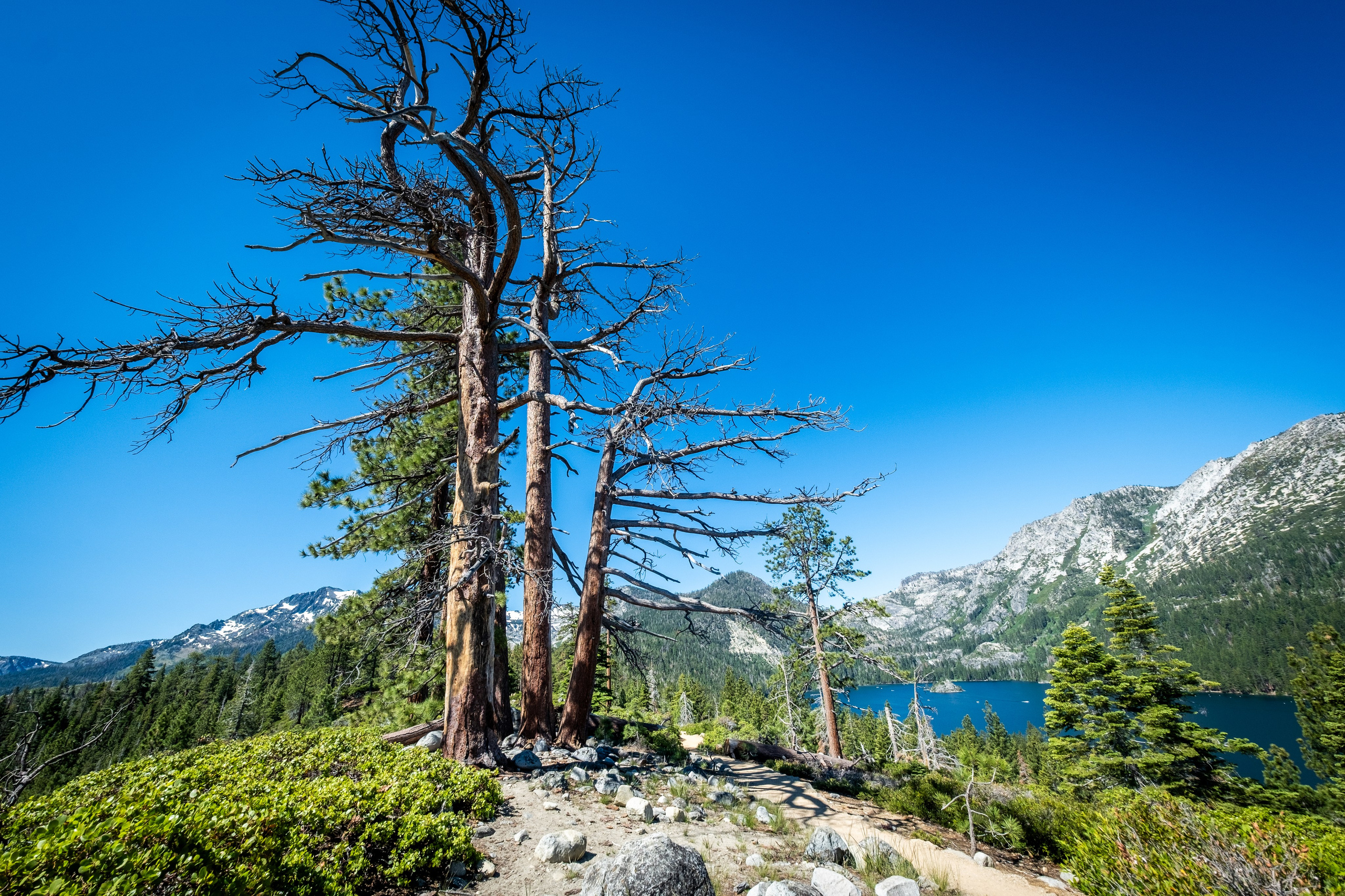 TAHOE. Reportage concert portrait photography in the San Francisco Bay Area