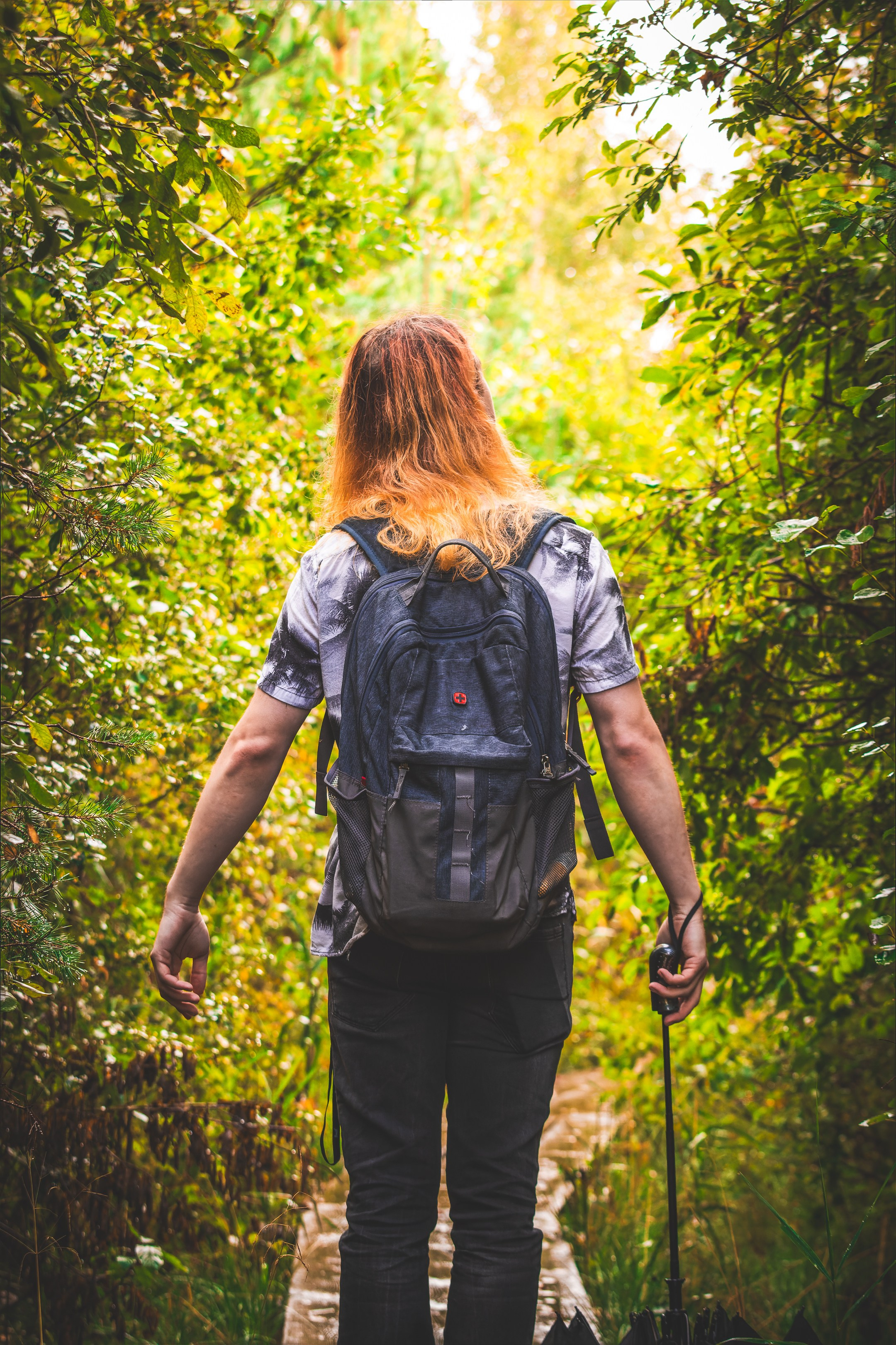 Mets, vihm ja jahedus (Dimitry). Nebula 25 — Fotod teie hingele
