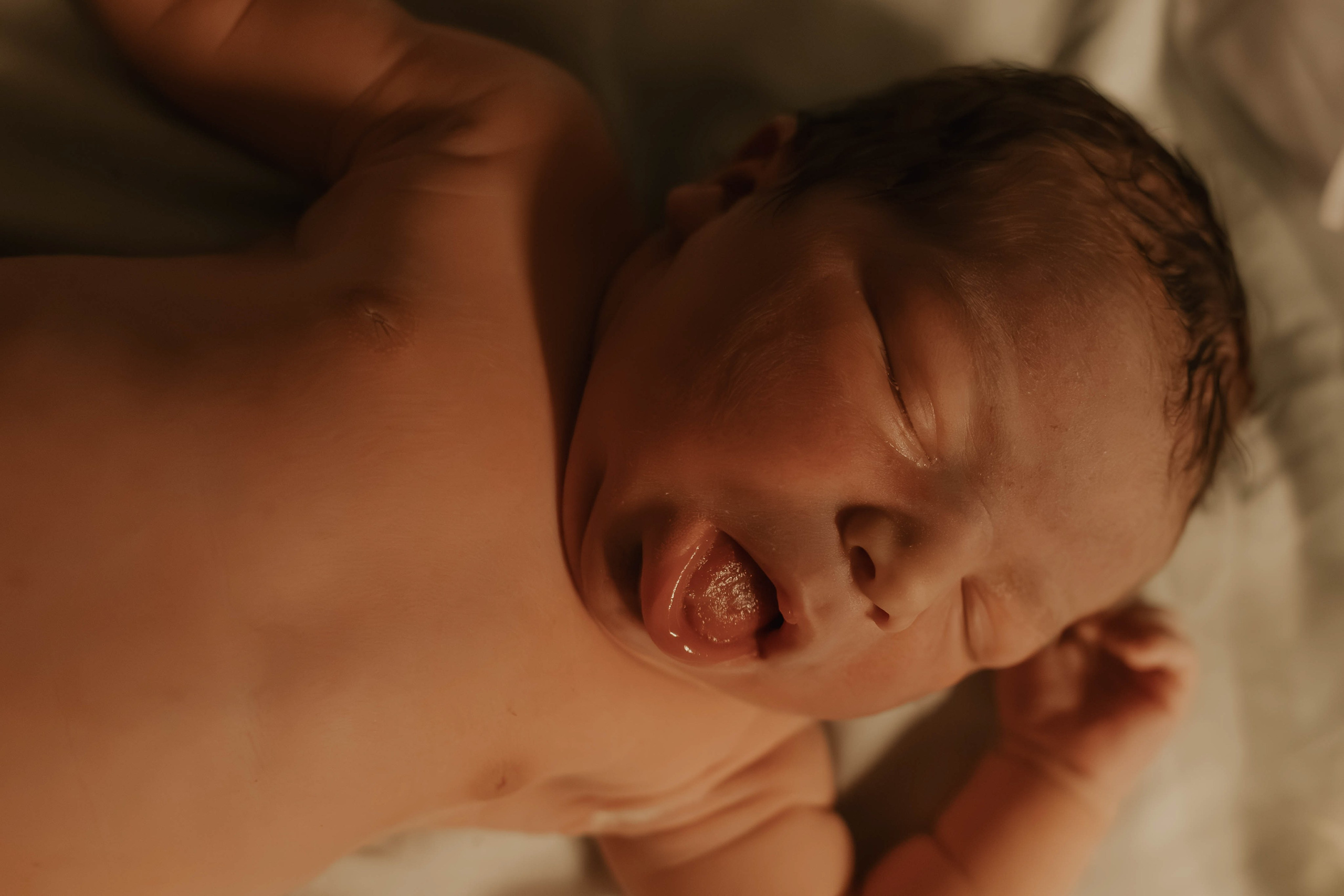 A chegada do Martin. Amanda Paraizo | Fotógrafa de Parto, Gestante e Família na Grande Vitória — ES