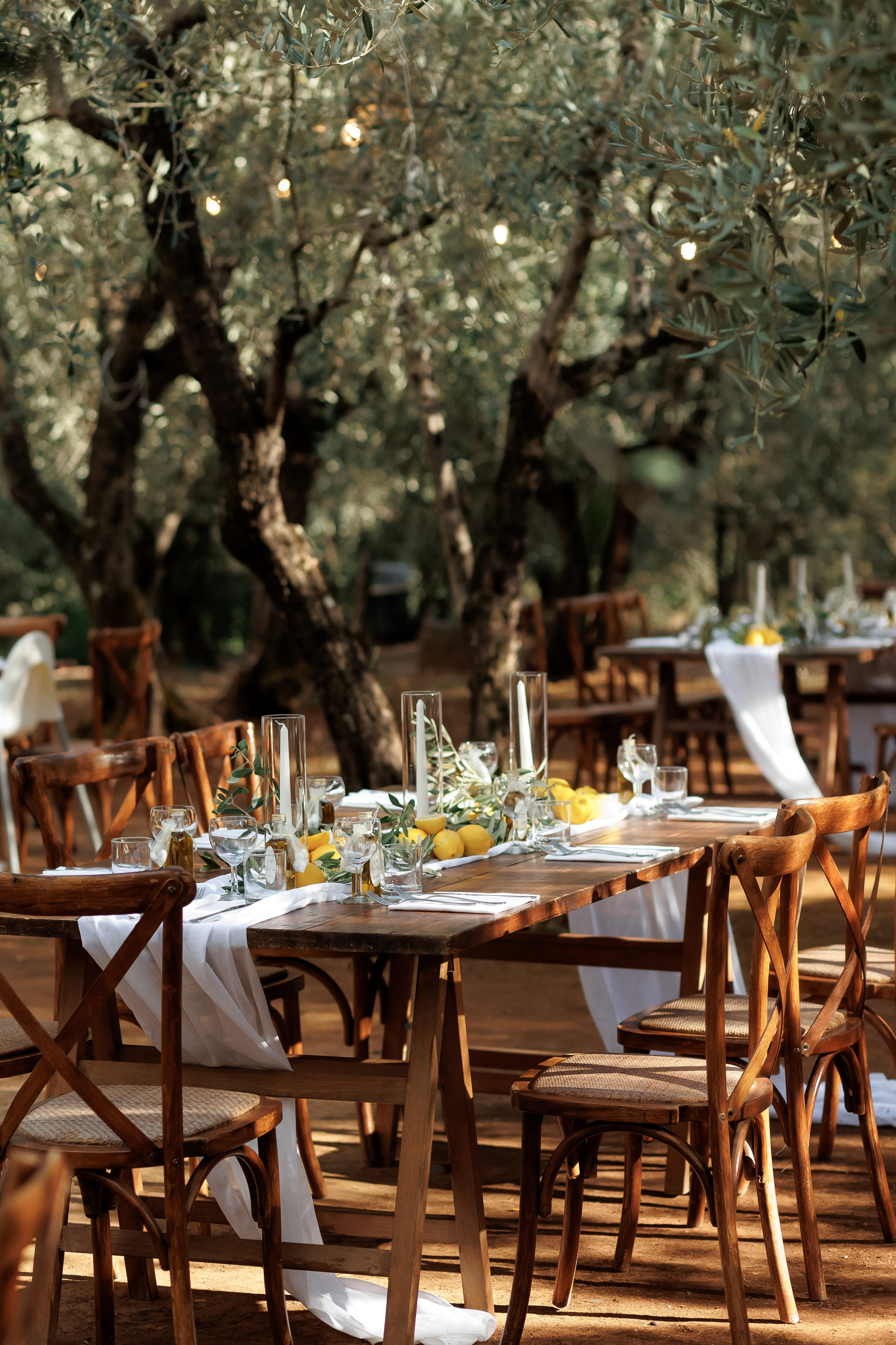 Lea & Basilio, Toscana 2025. Hochzeitsfotografie in Berlin Nataliia Schütze