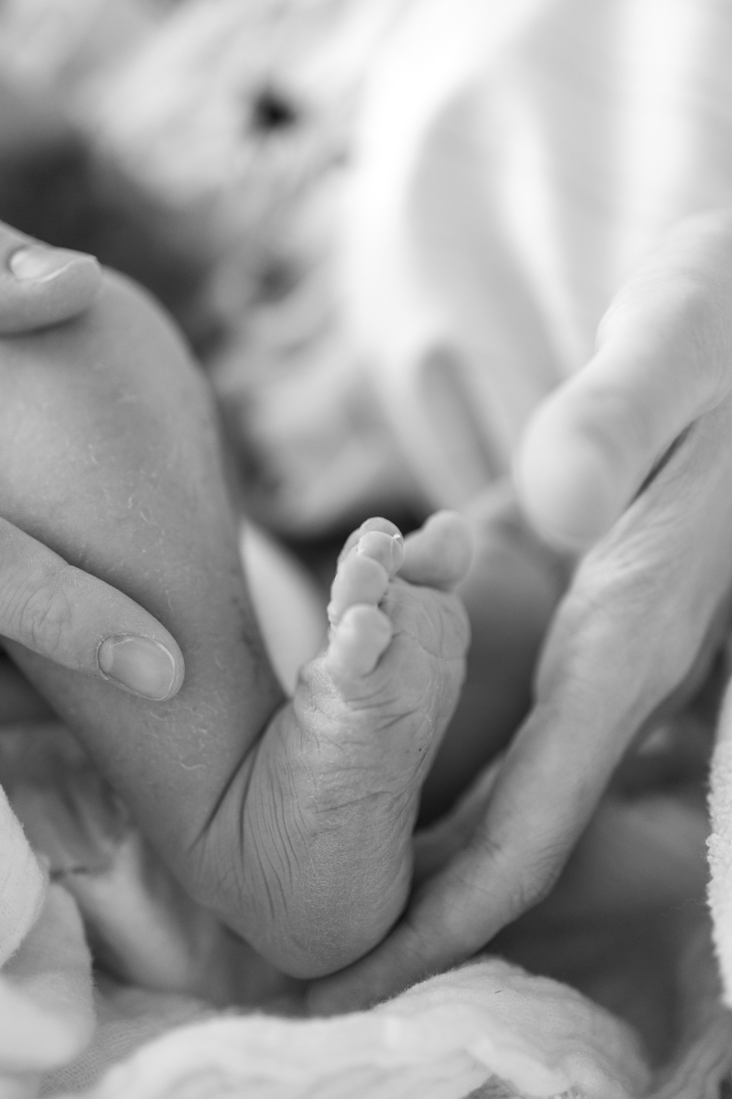 Birth and Newborn Photography