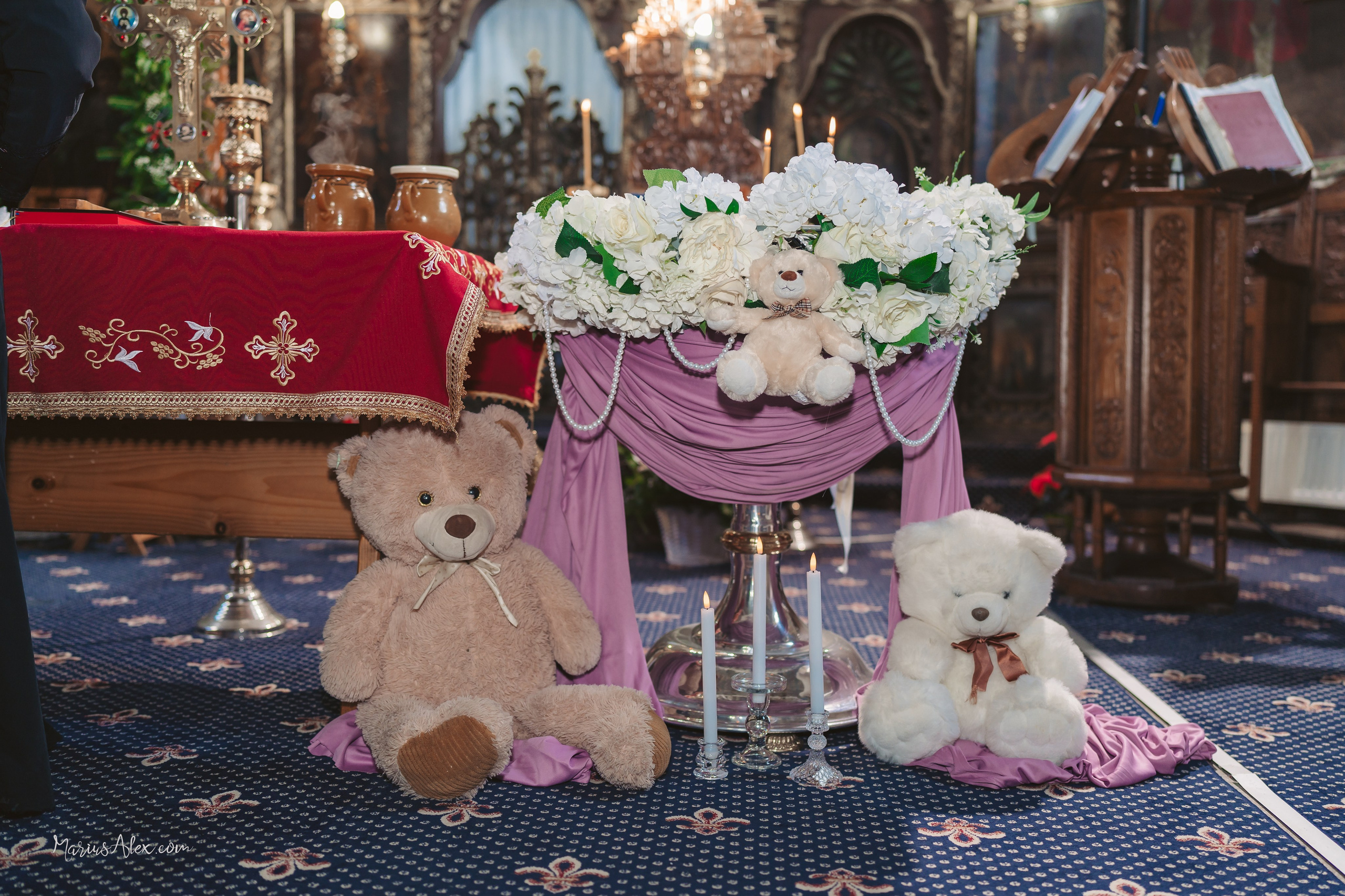 Cataleya Ecaterina. Marius Alex fotograf de eveniment si portret din Suceava