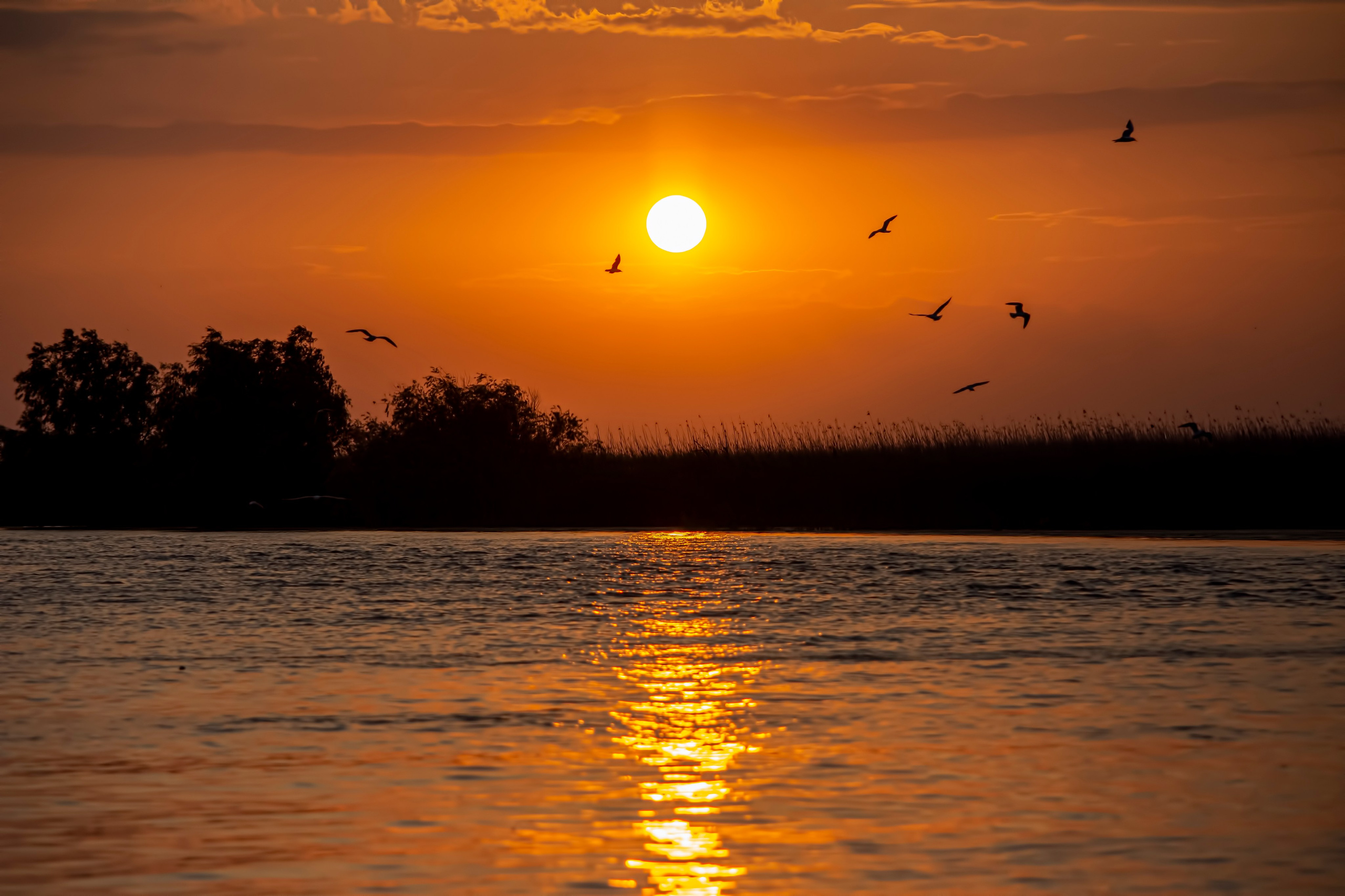 Călătorie. Daniel Hașiegan